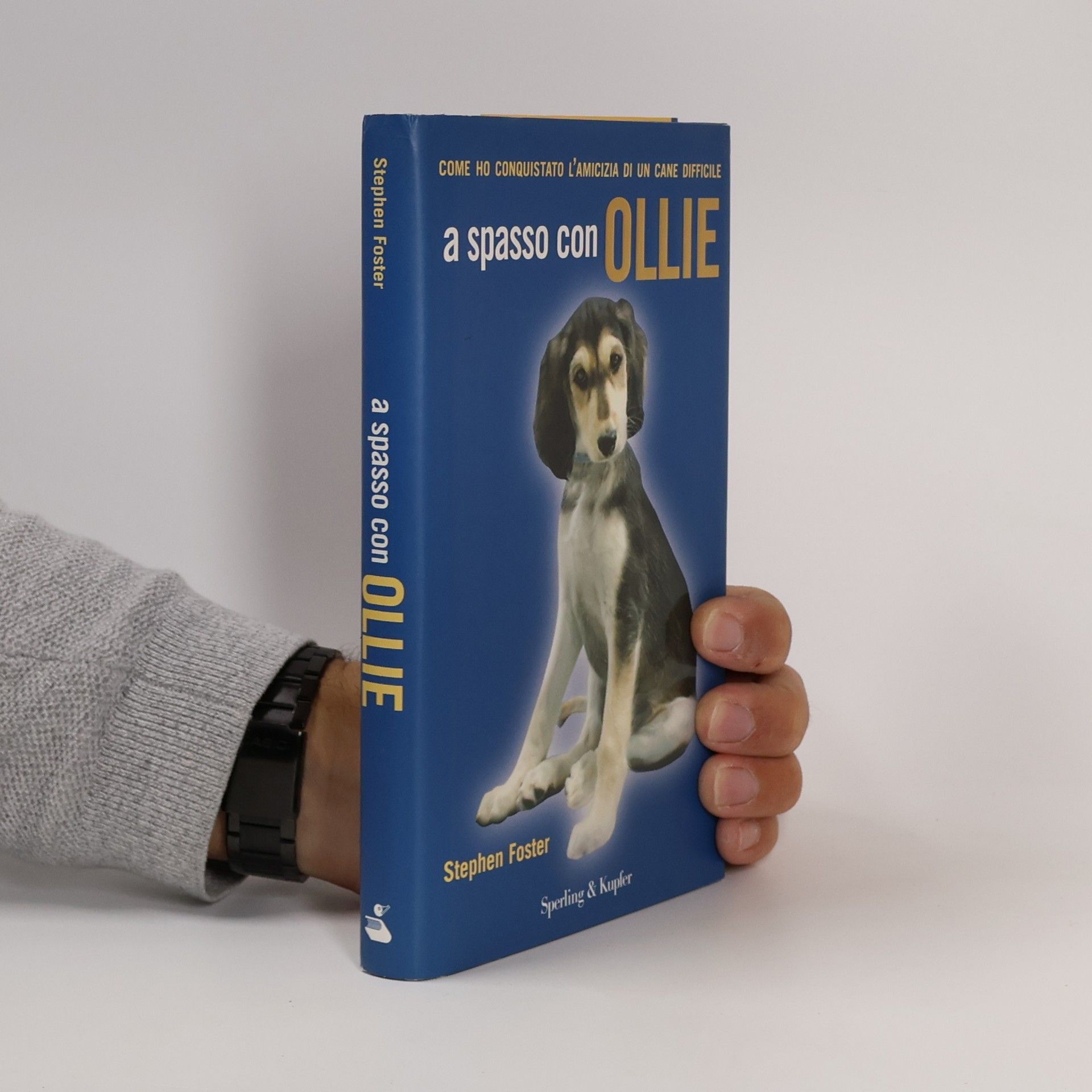 Stephen R. Foster A spasso con Ollie