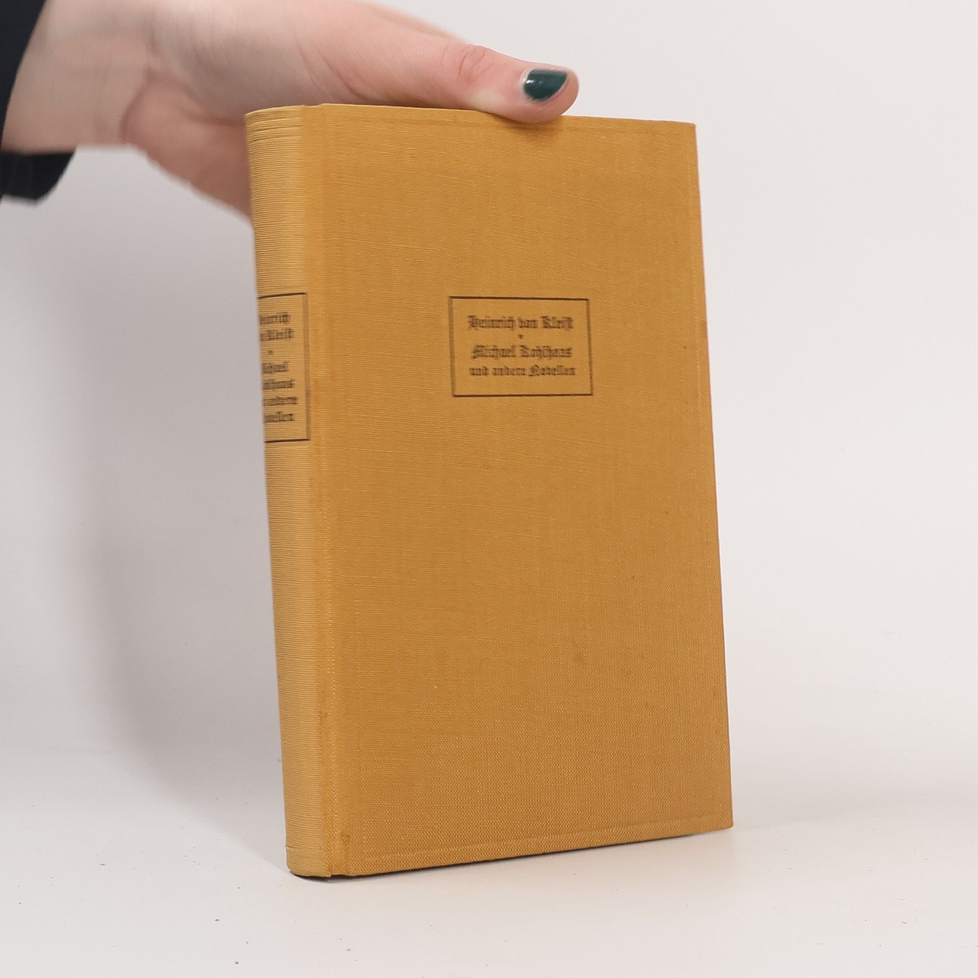 Heinrich von Kleist Michael Kohlhaas und andere Novellen