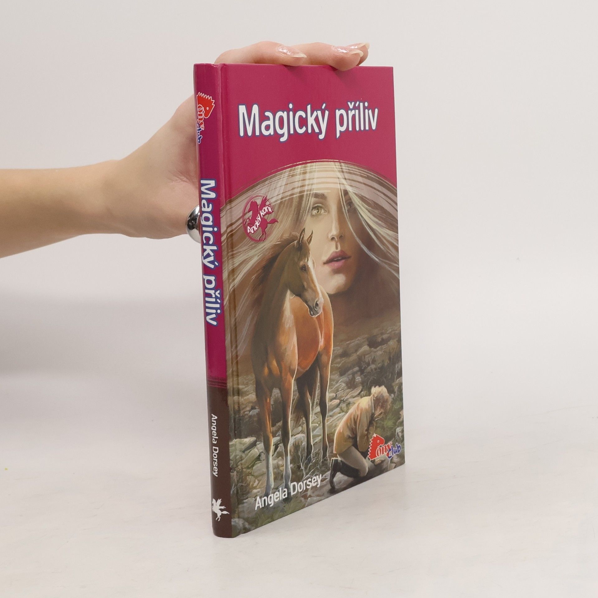 Angela Dorsey Magický příliv