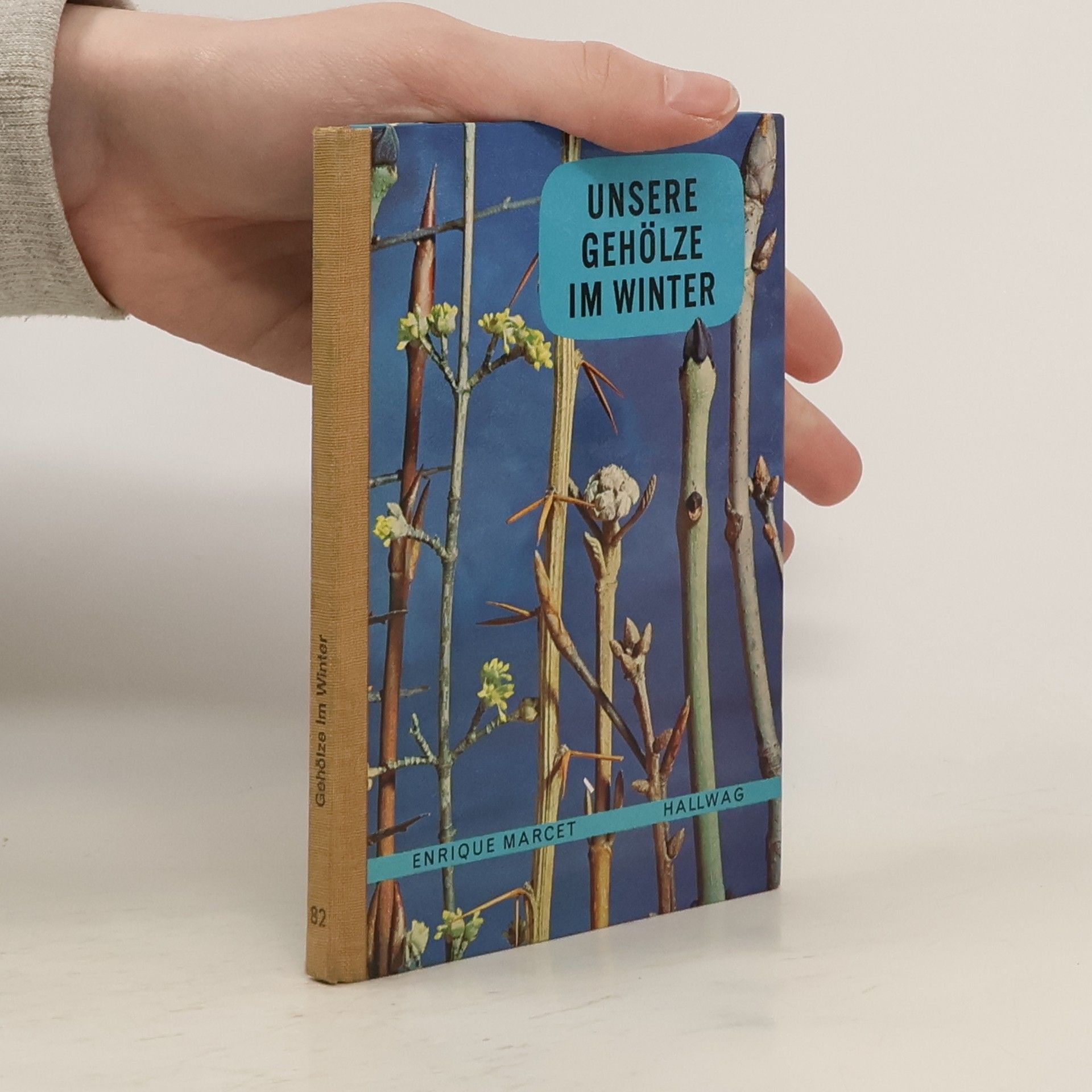 Unsere Gehölze im Winter