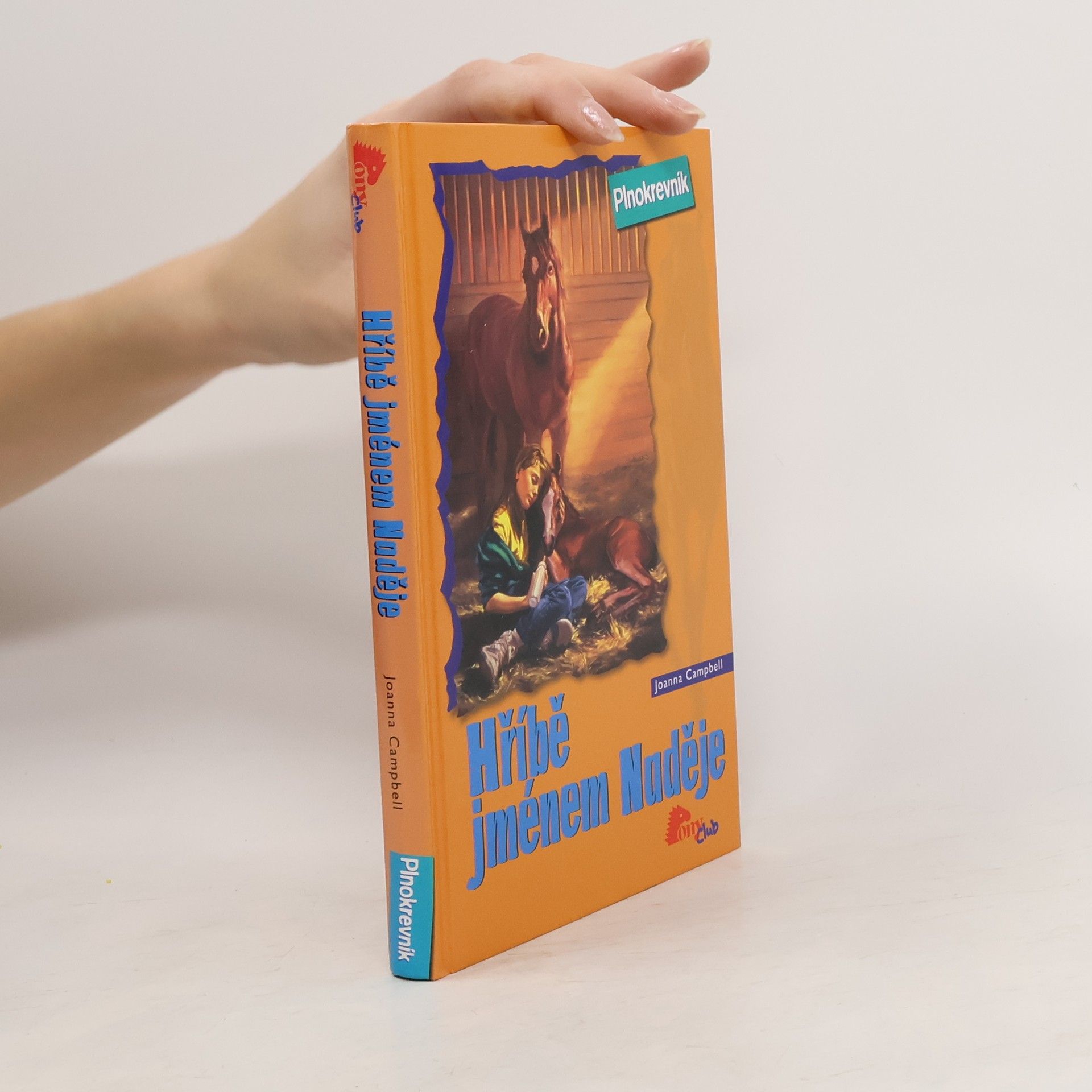 Joanna Campbell Hříbě jménem Naděje