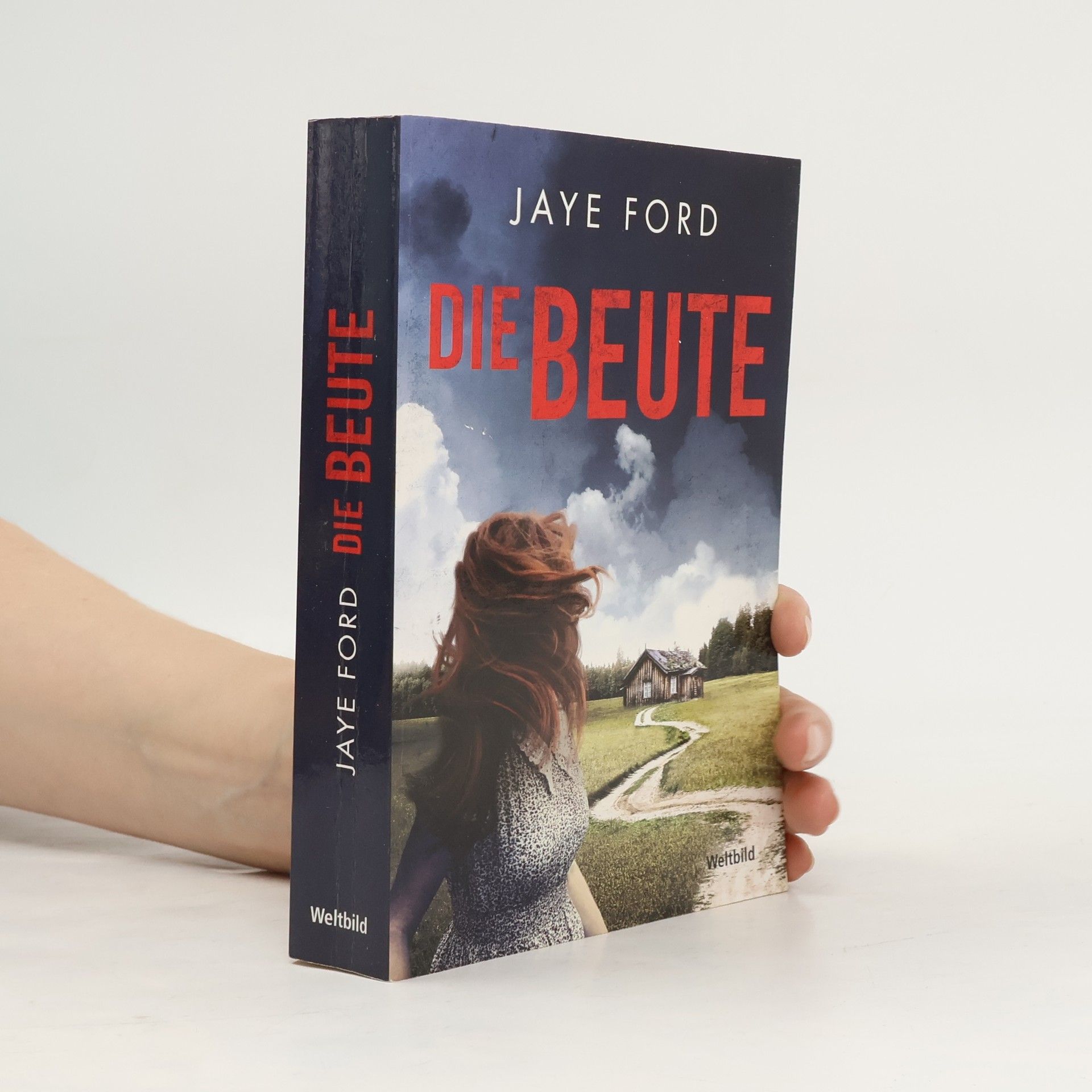 Jaye Ford Die Beute