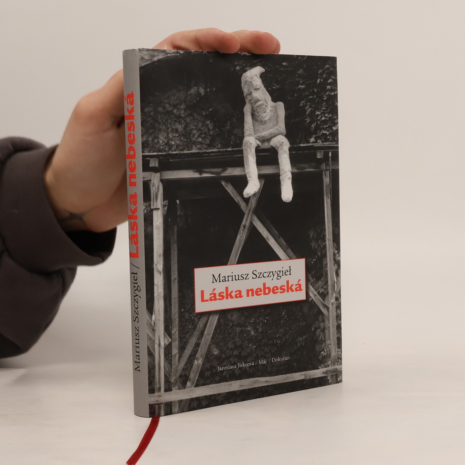 Mariusz Szczygieł Láska nebeská