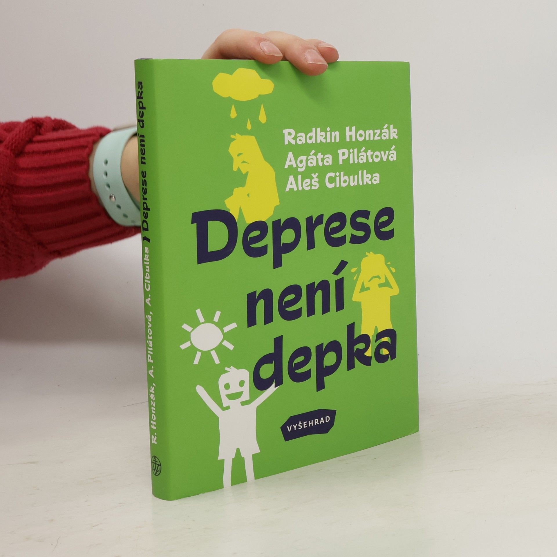 Kolektiv autorů Deprese není depka