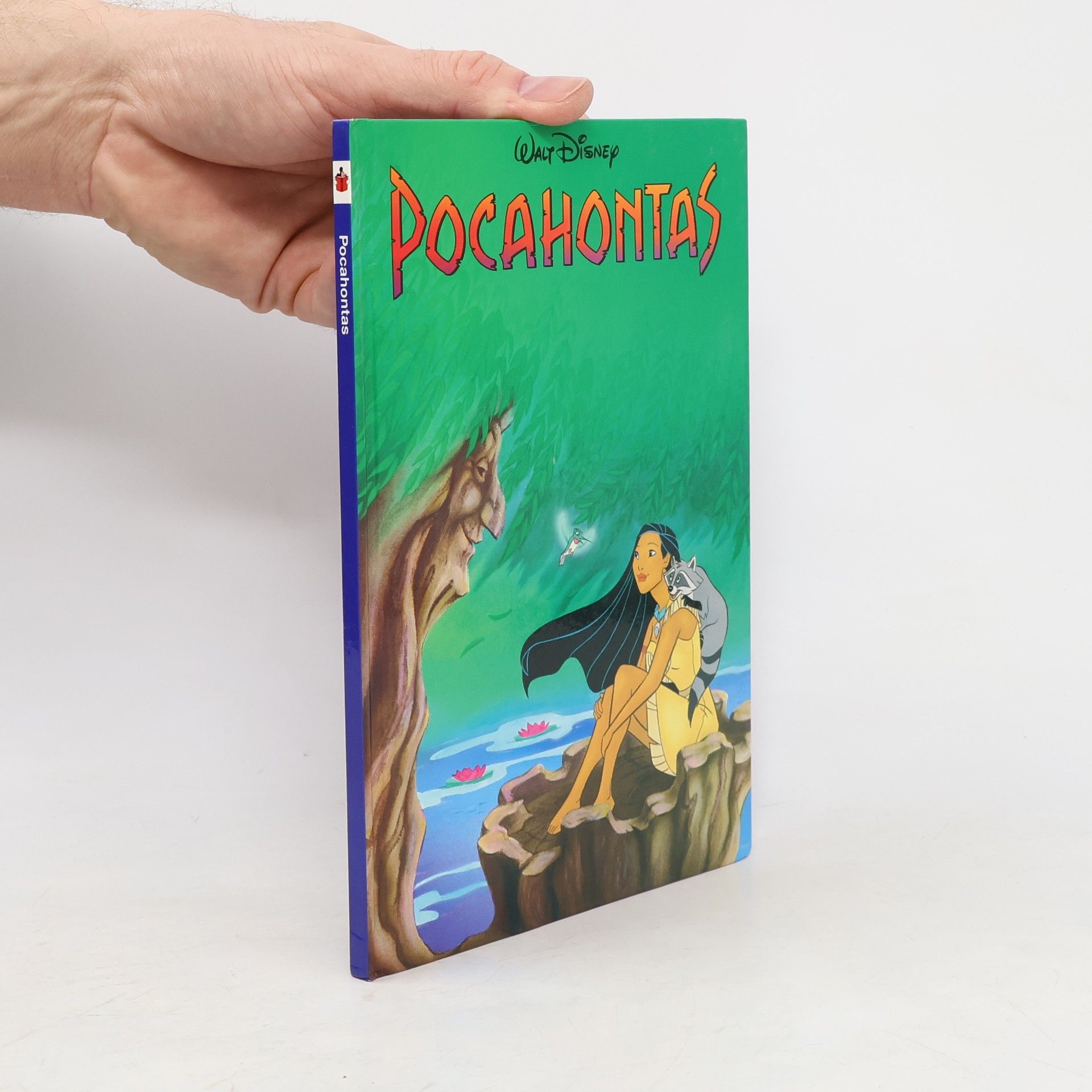 Walt Disney Pocahontas