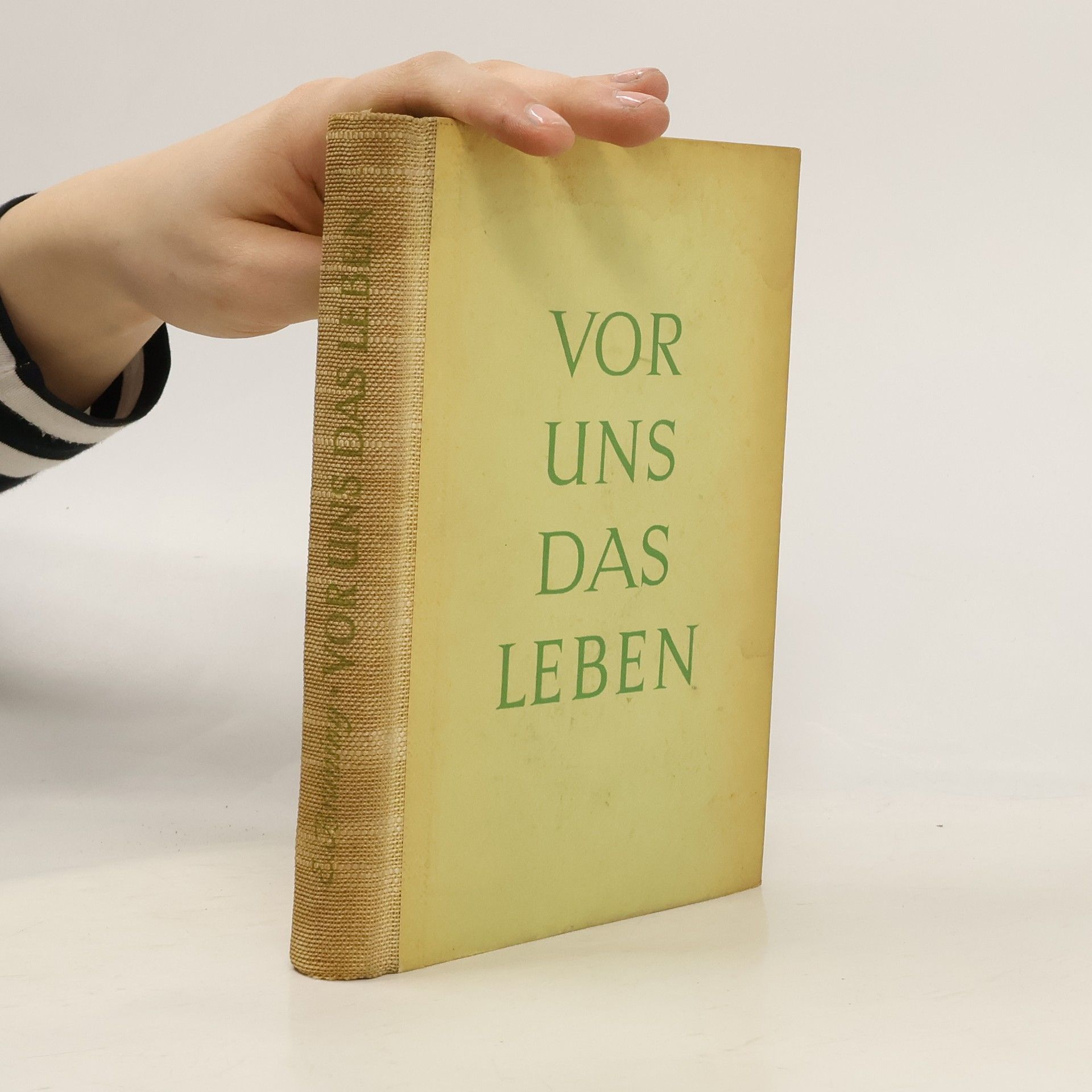 Elfriede Brüning Vor uns das Leben