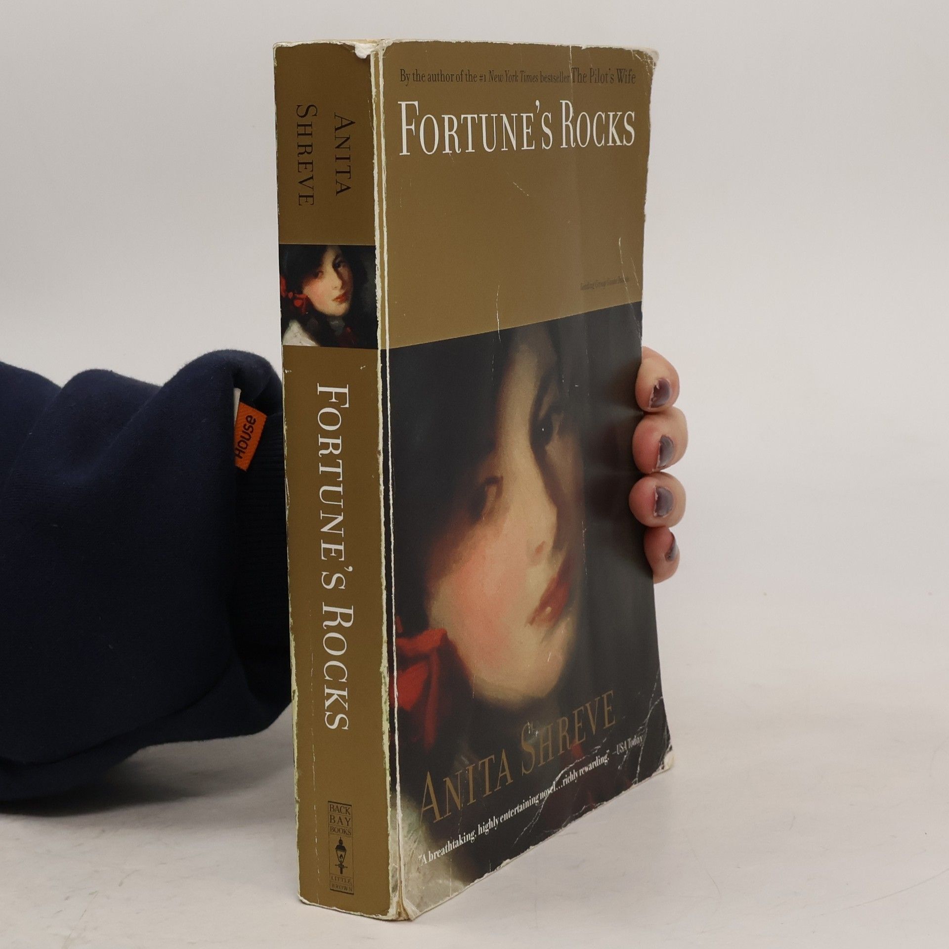 Anita Shreve Fortune's Rocks