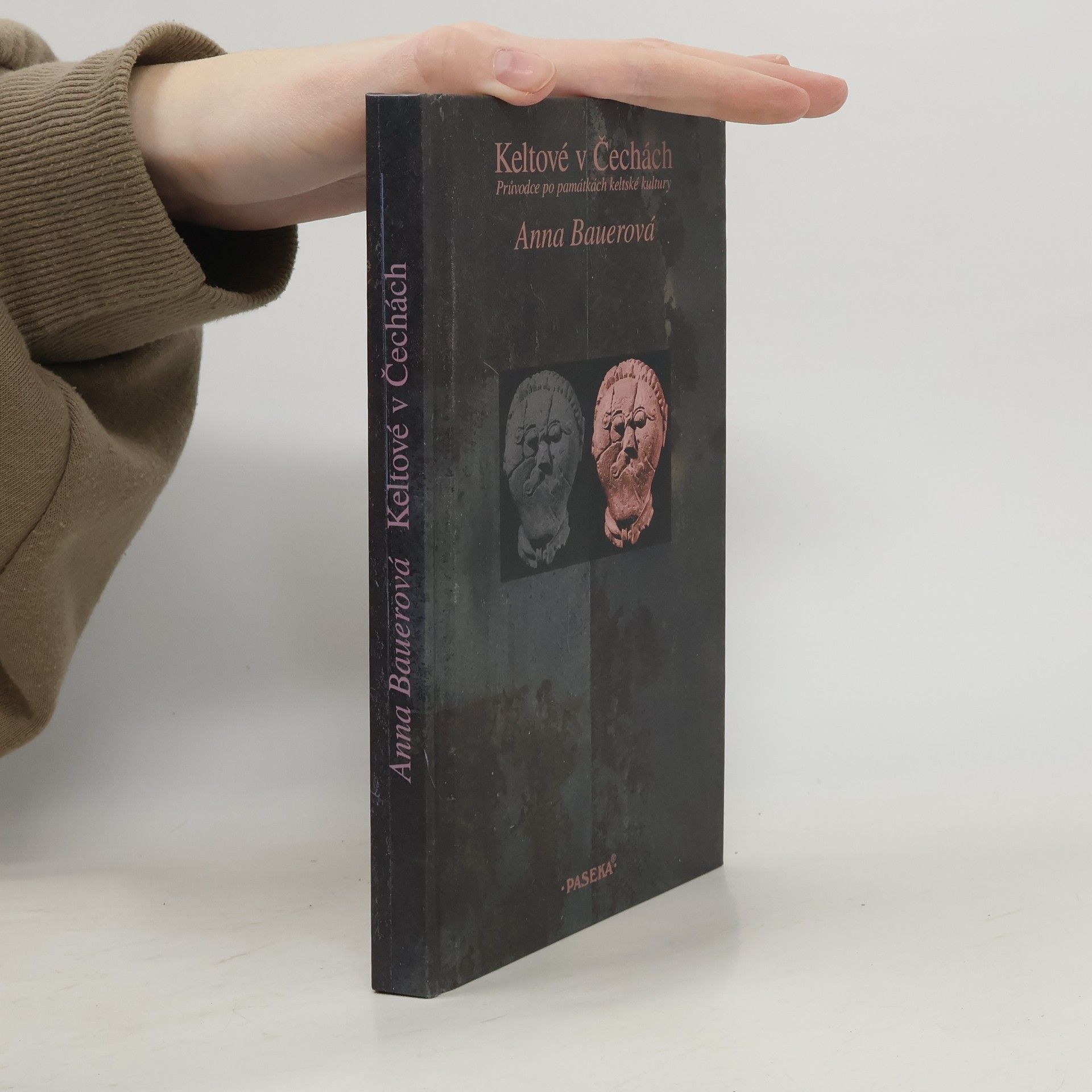 Keltové v Čechách: Průvodce po památkách keltské kultury