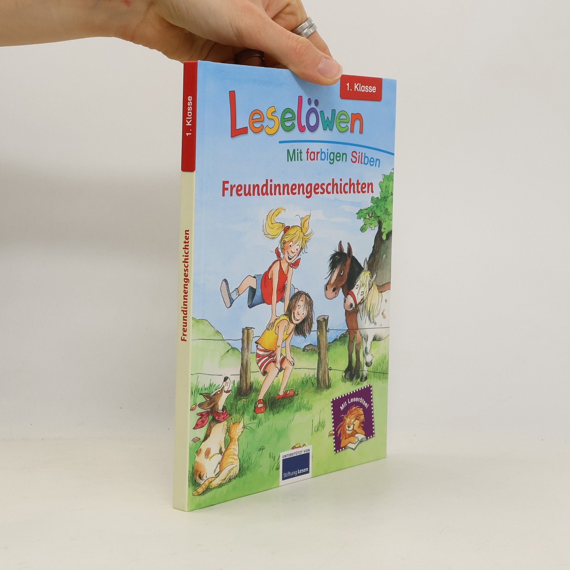 Autorenkollektiv Leselöwen. Freundinnengeschichten