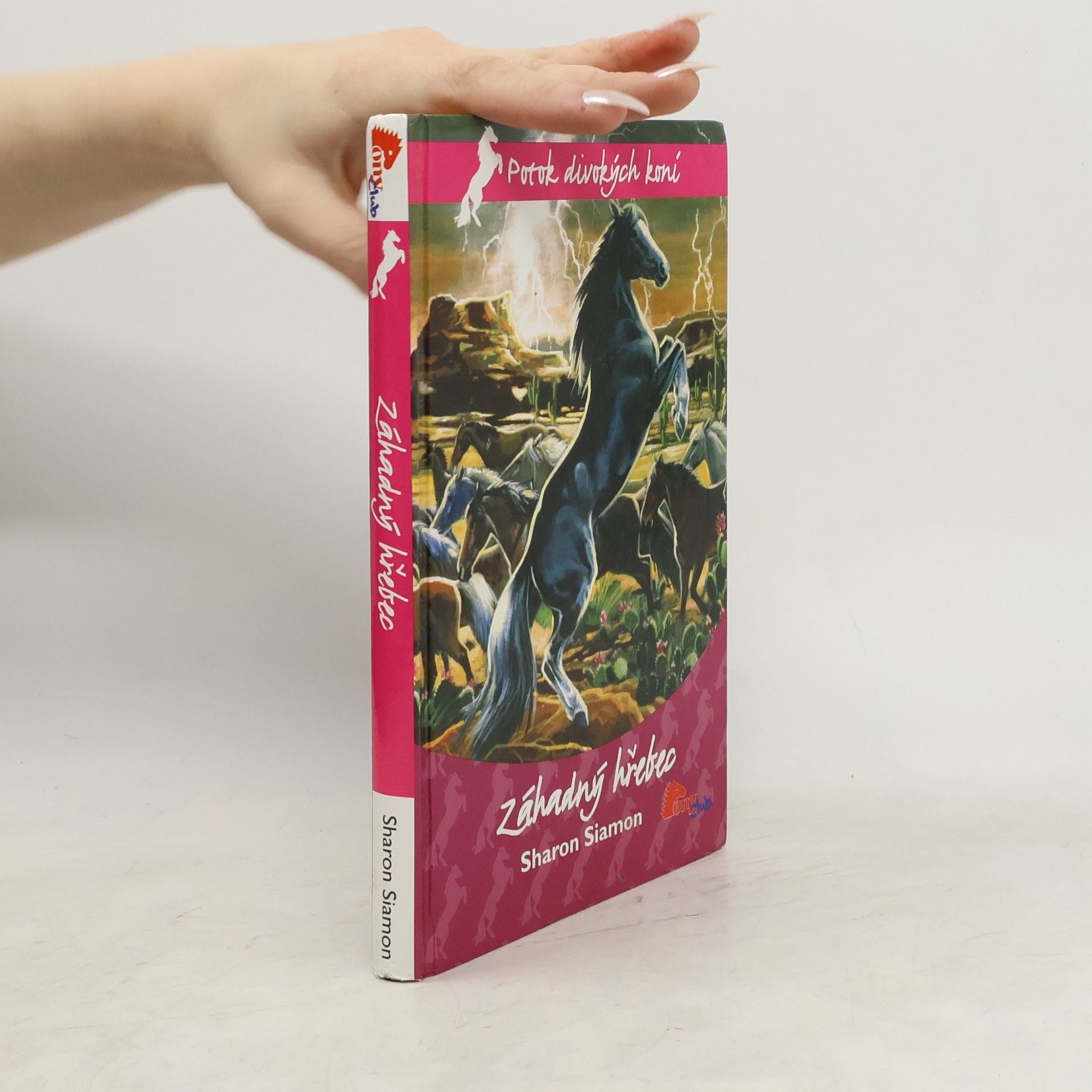 Sharon Siamon Záhadný hřebec