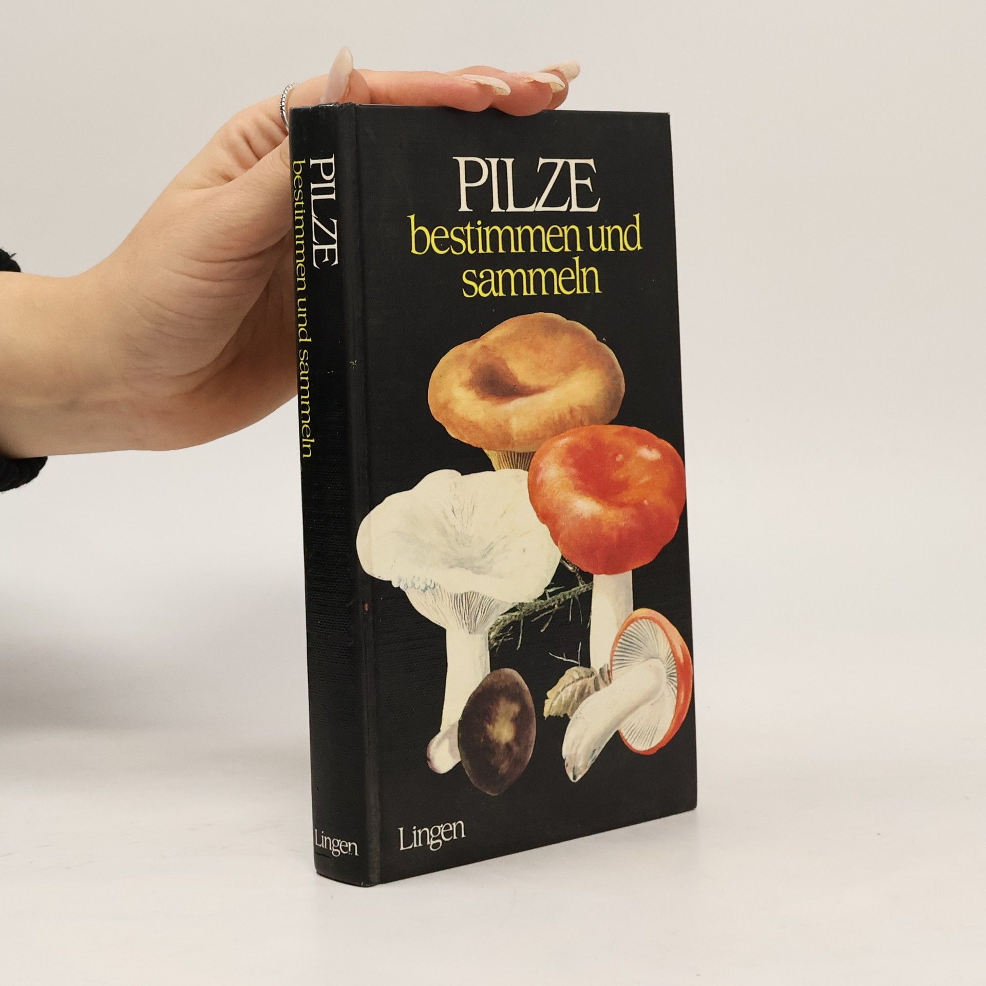 Autorenkollektiv Pilze bestimmen und sammeln