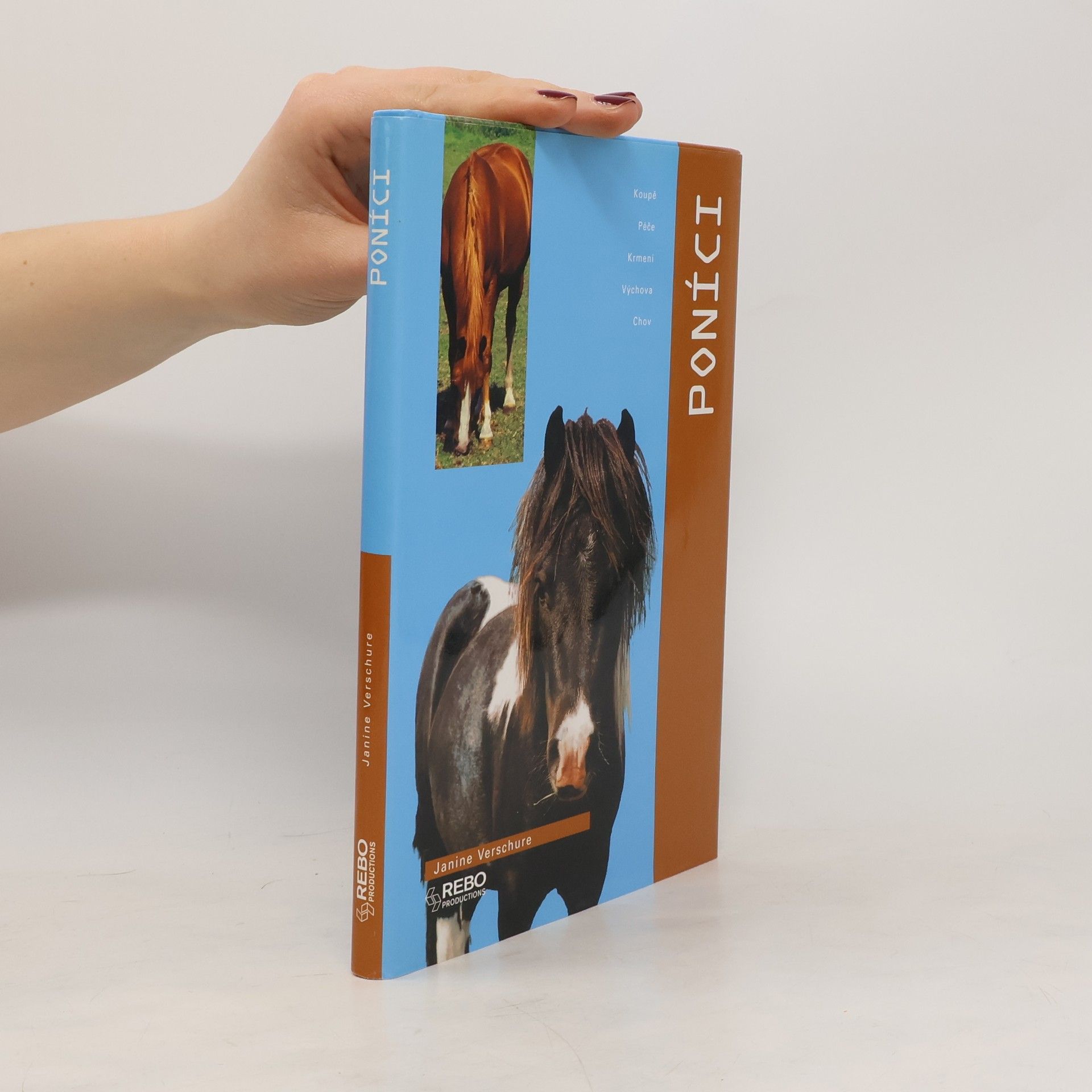 Janine Verschure Poníci