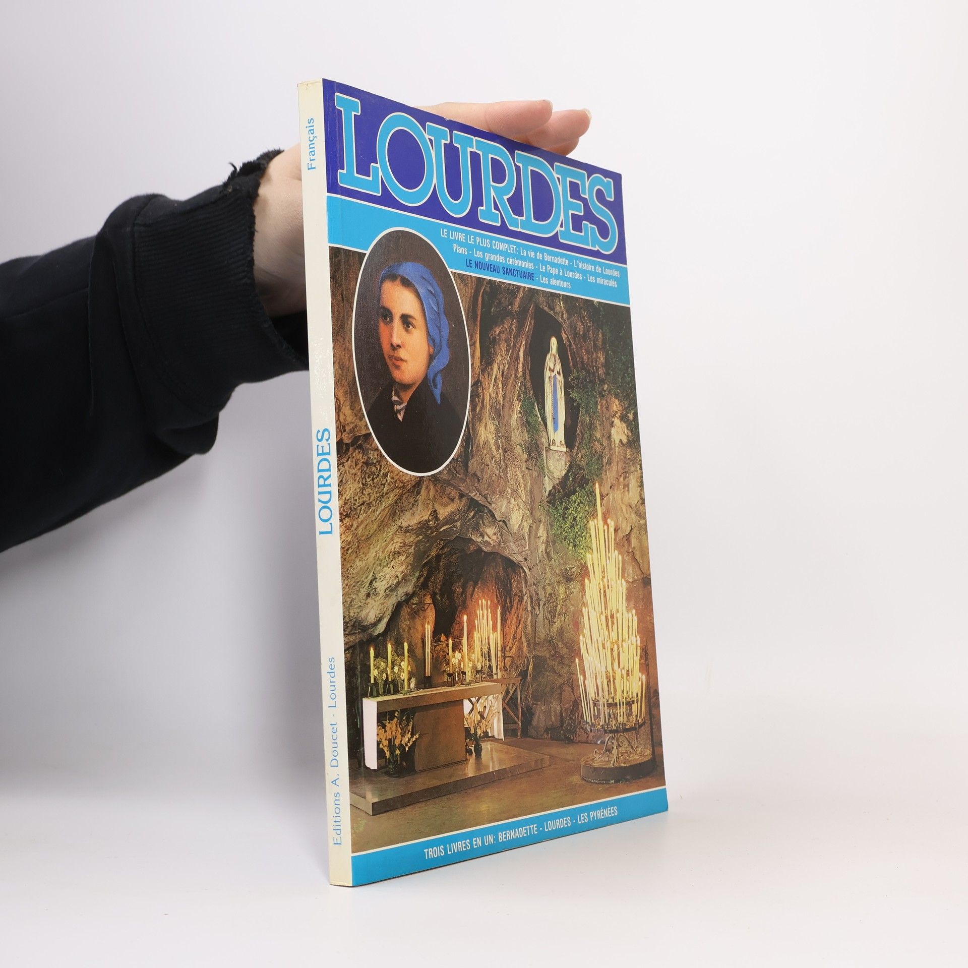 Collectif d'auteurs Lourdes