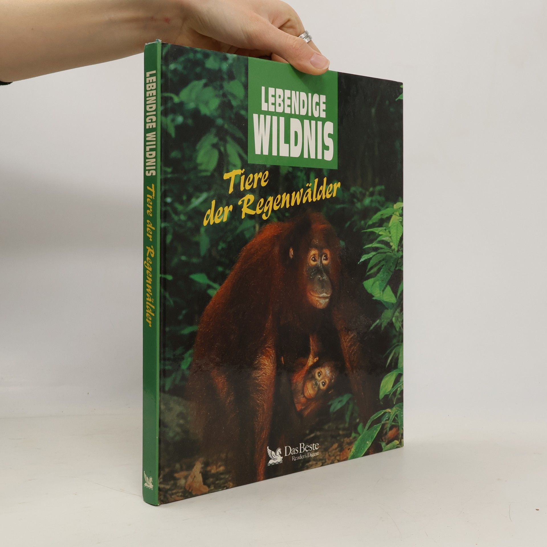 Tiere der Regenwälder