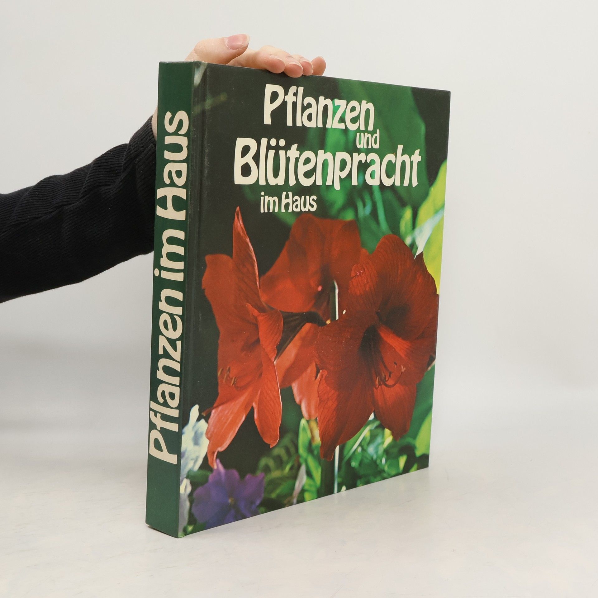 Collectif d'auteurs Pflanzen und Blütenpracht im Haus