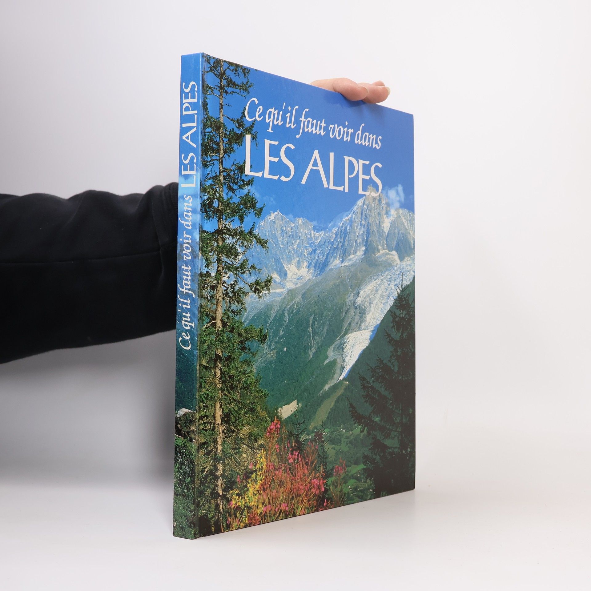 Collectif d'auteurs Ce qú il faut voir dans Les Alpes