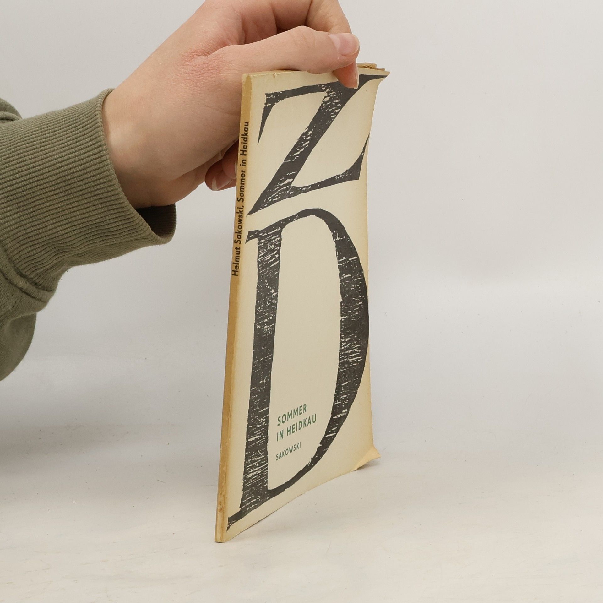 Helmut Sakowski Sommer in Heidkau