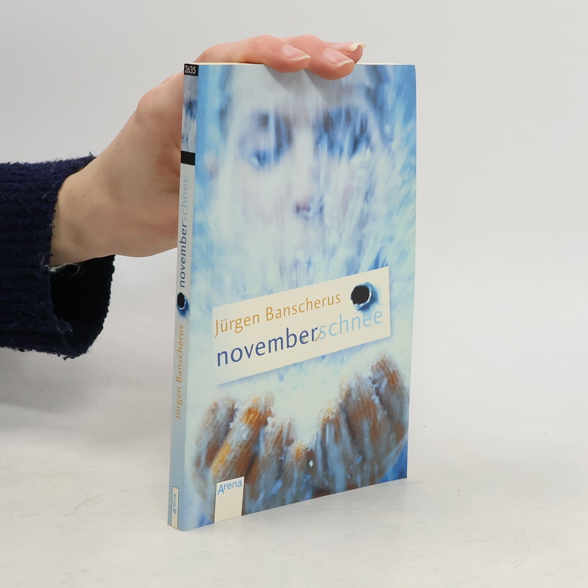 Jürgen Banscherus Novemberschnee
