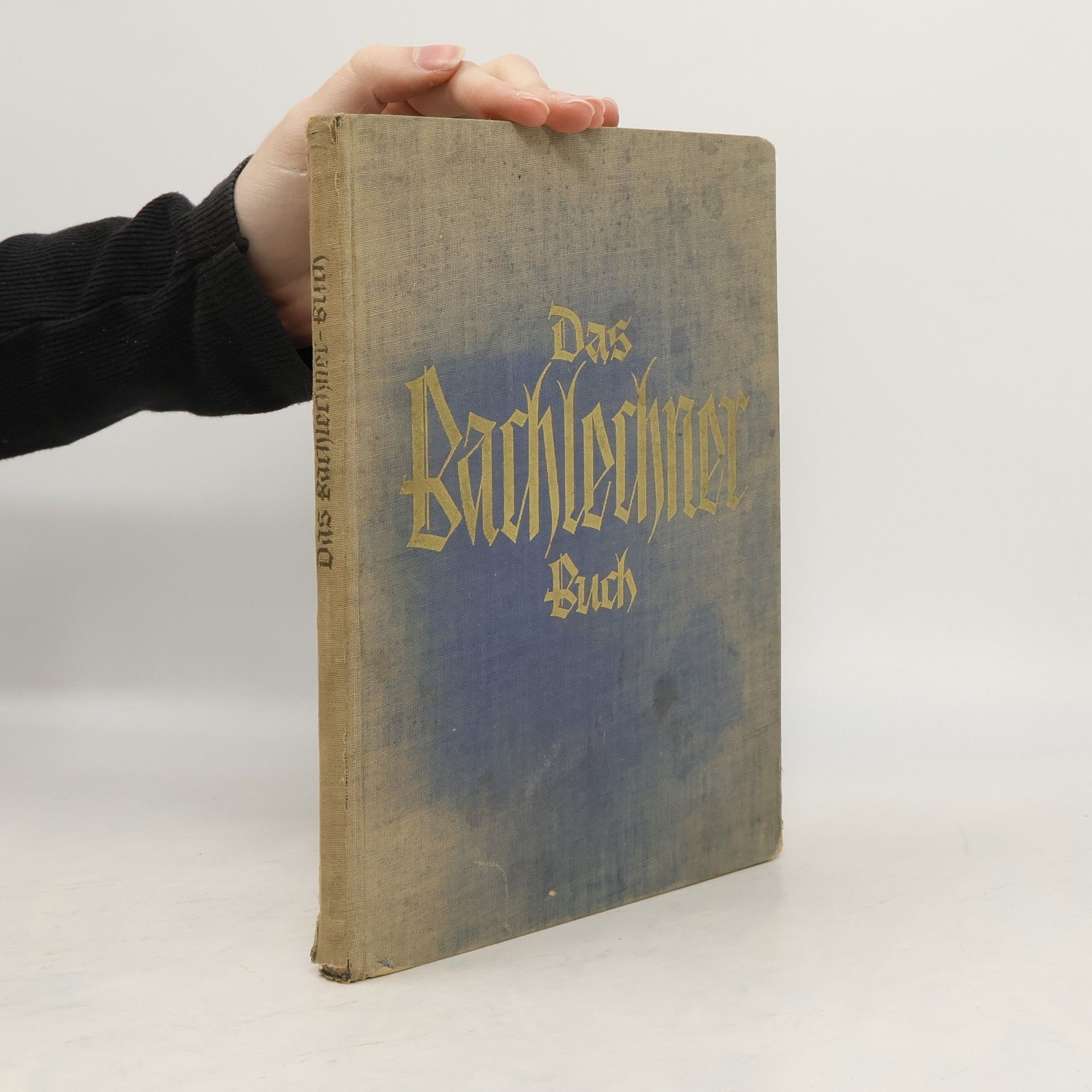 Auteurscollectief Das Bachlechner-Buch