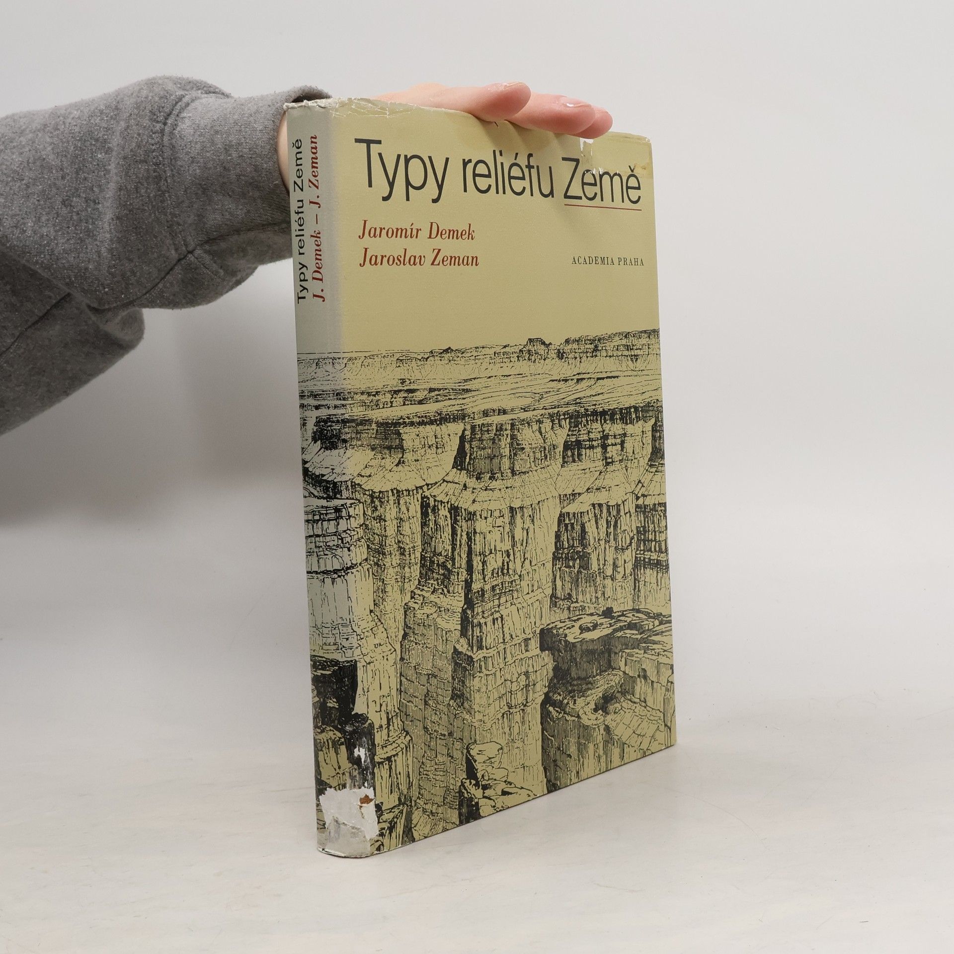 Jaromír Demek Typy reliéfu Země