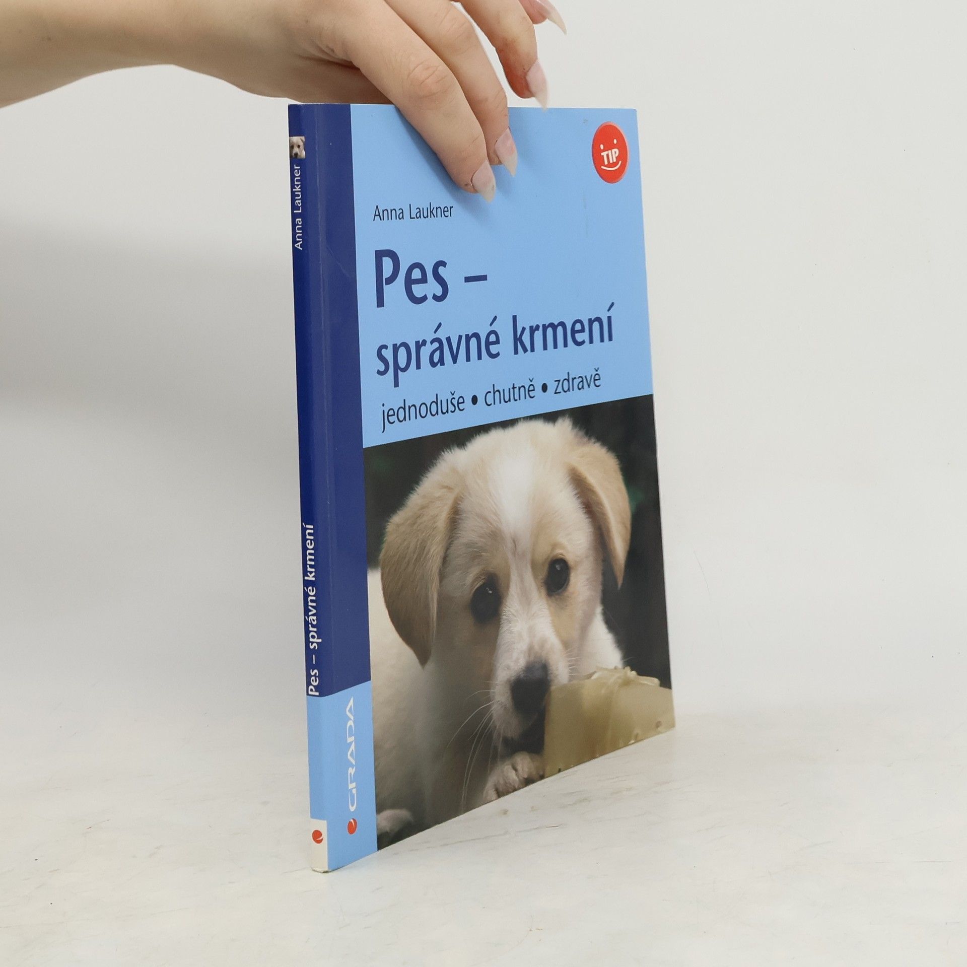 Pes - správné krmení : jednoduše, chutně, zdravě