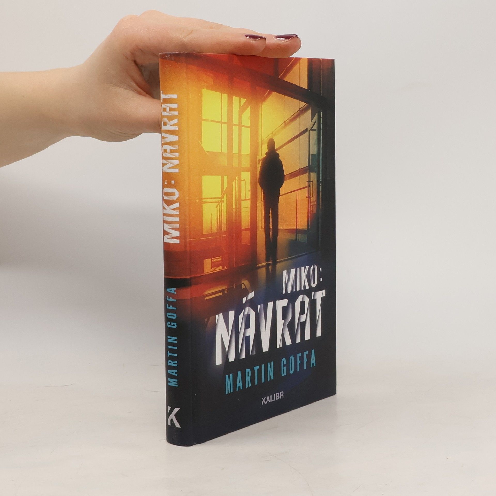 Martin Goffa Miko: Návrat