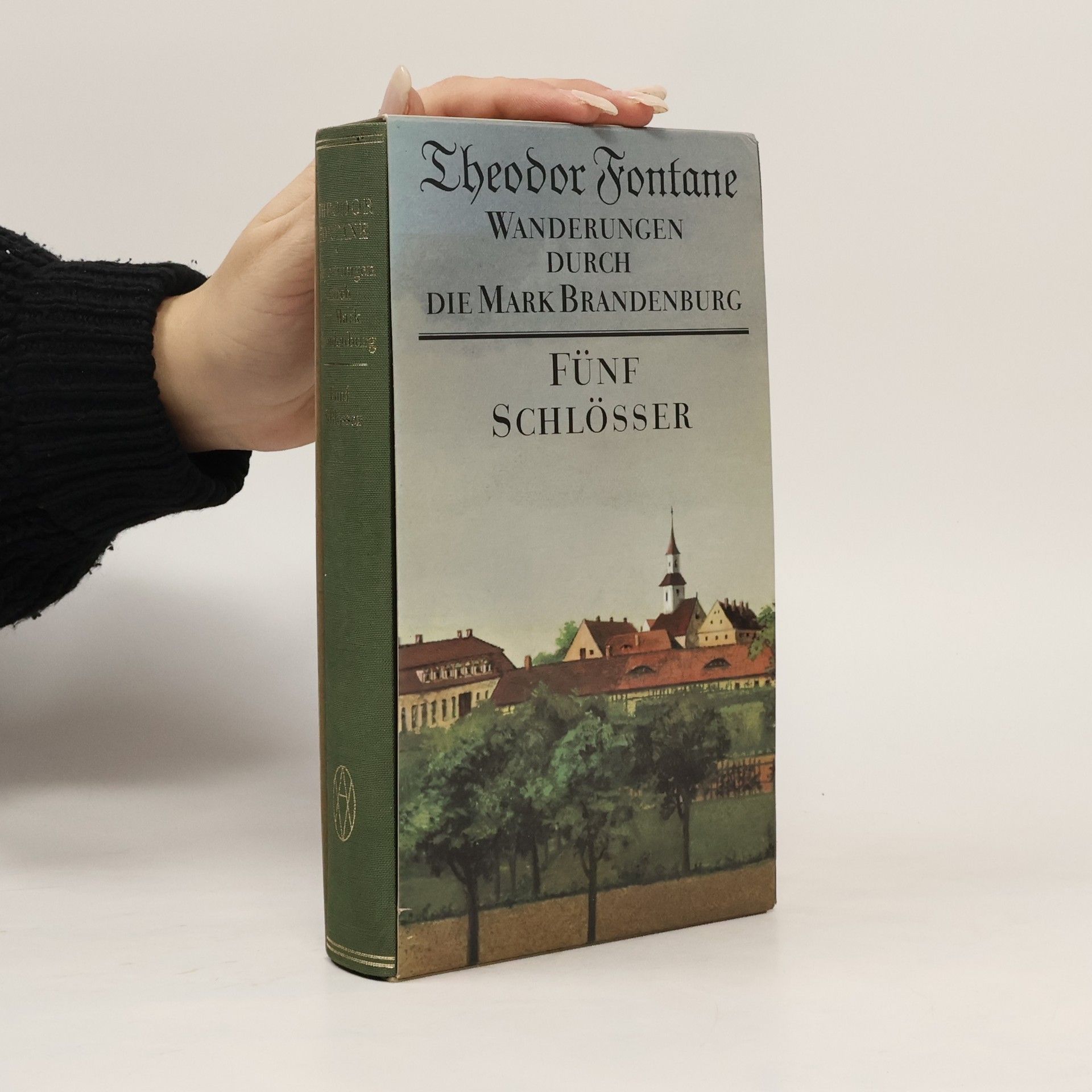 Theodor Fontane Wanderungen durch die Mark Brandenburg. Fünf Schlösser