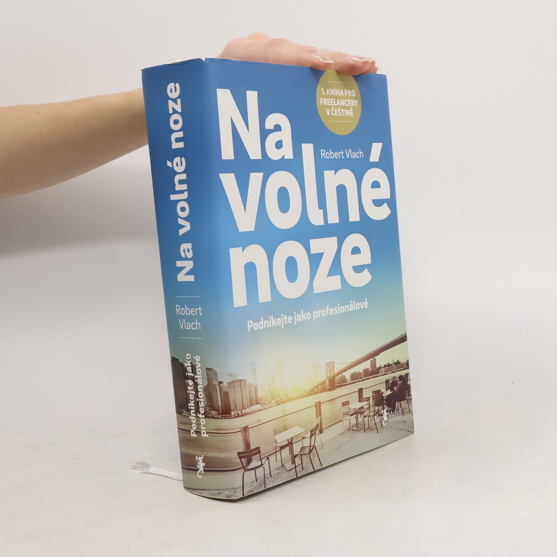 Robert Vlach (podnikatel) Na volné noze