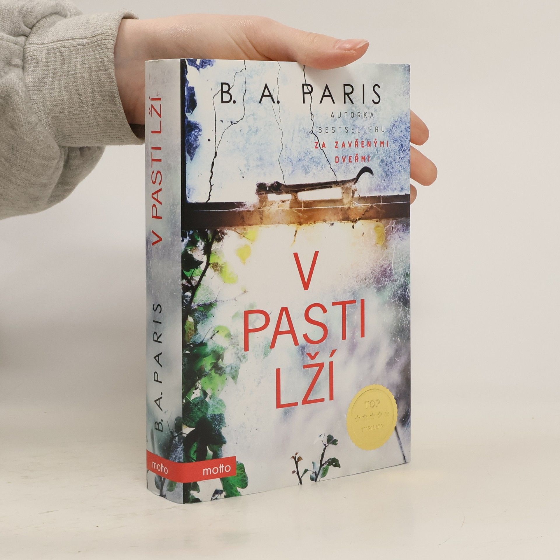 B. A. Paris V pasti lží