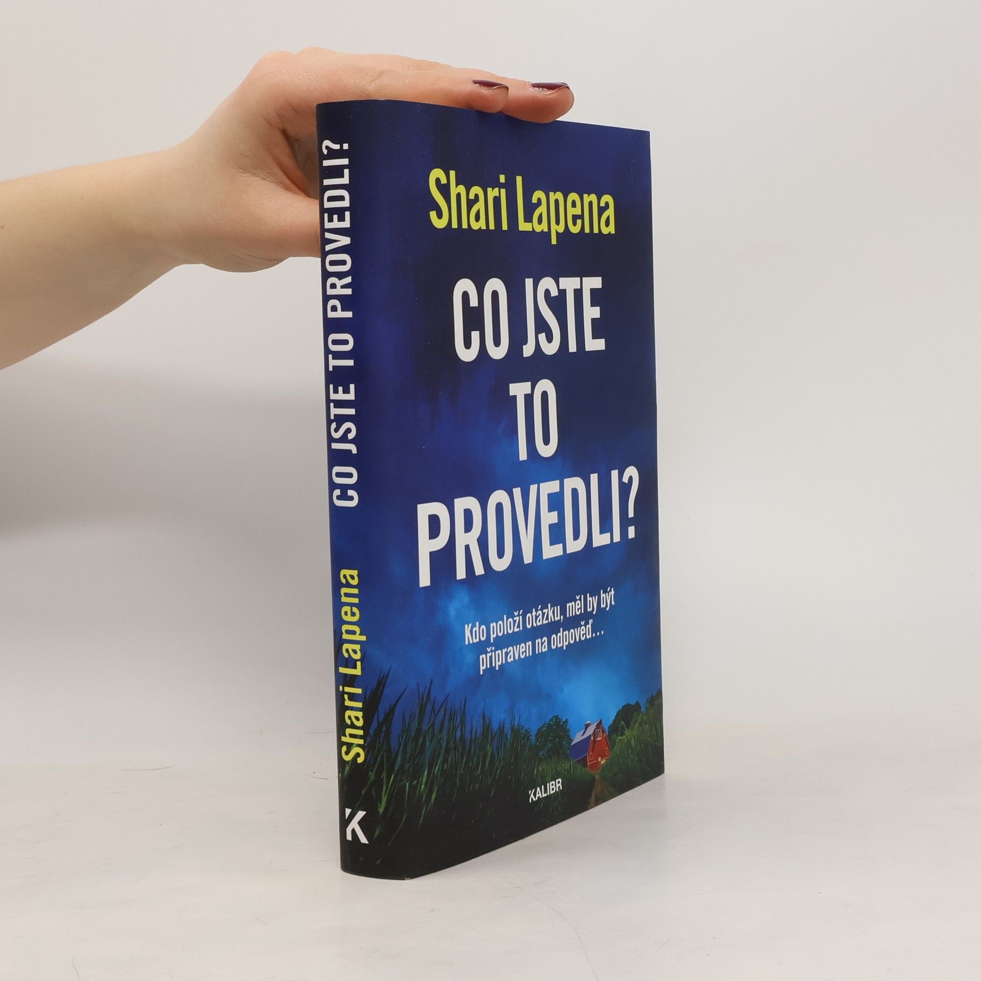 Shari Lapena Co jste to provedli?