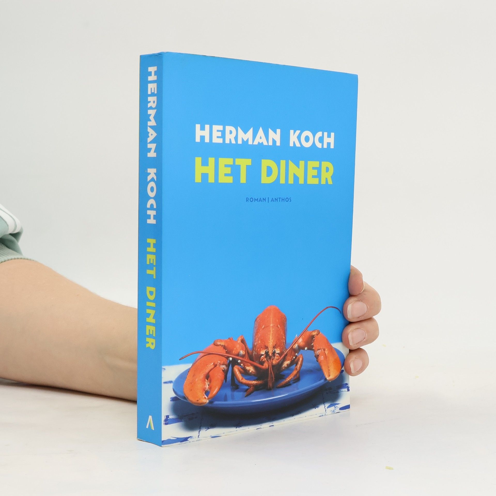 Annie M. G. Schmidt Jip en Janneke 1