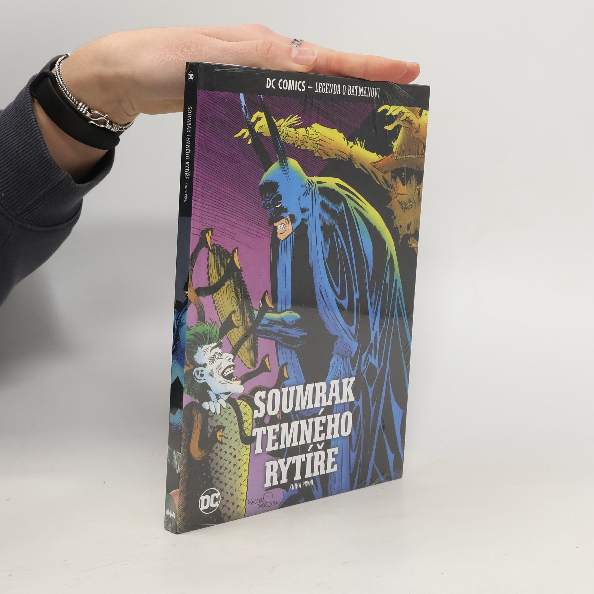 AA.VV. Soumrak temného rytíře. Kniha první