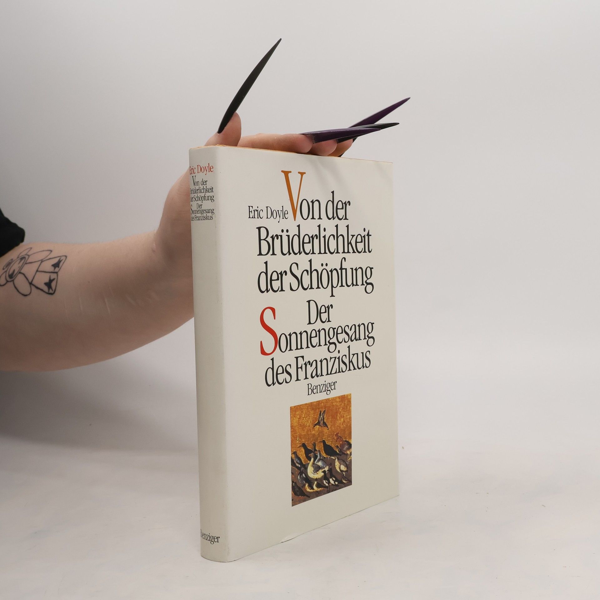 Eric Doyle Von der Brüderlichkeit der Schöpfung. Der Sonnengesang des Franziskus