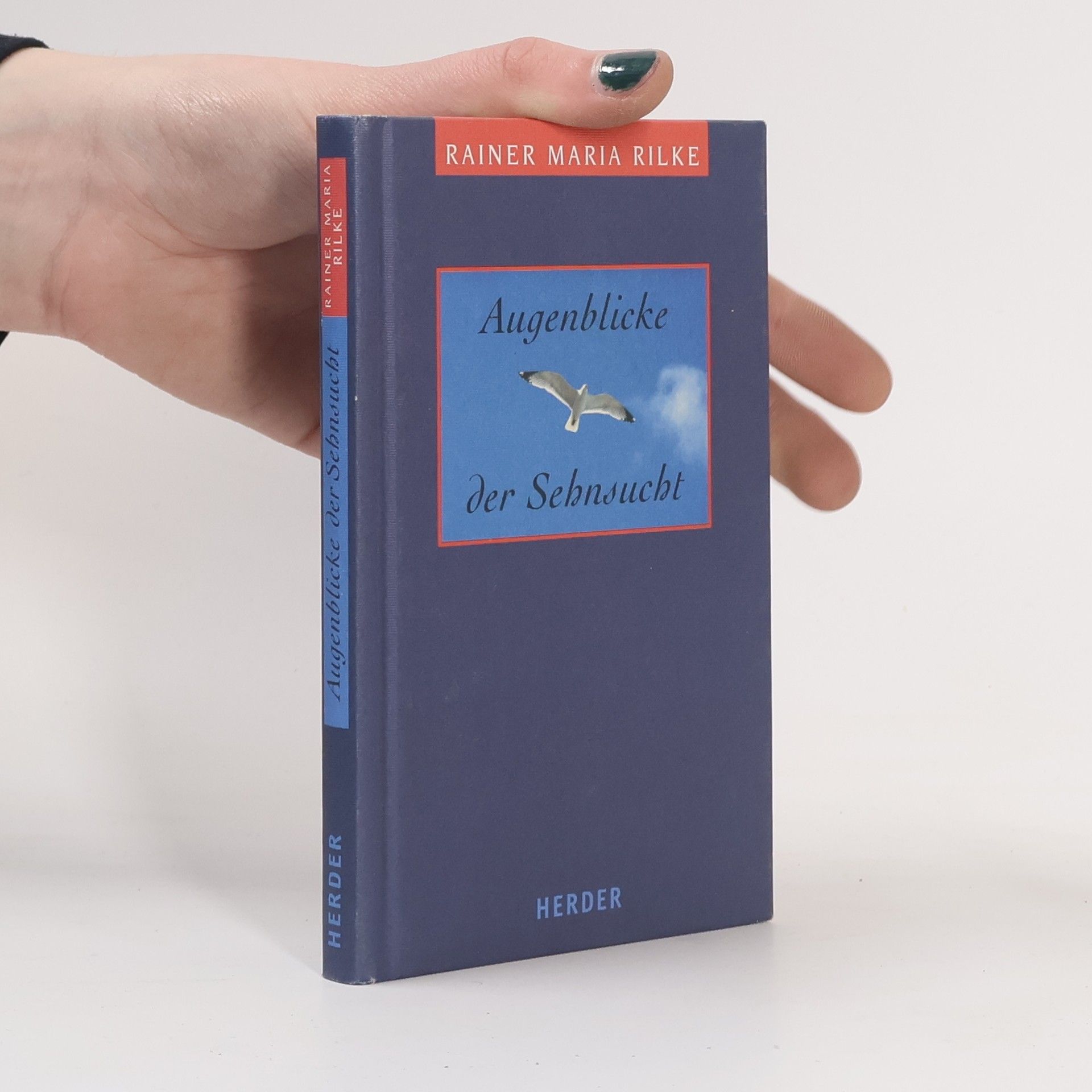 Ludger Hohn-Morisch Augenblicke der Sehnsucht