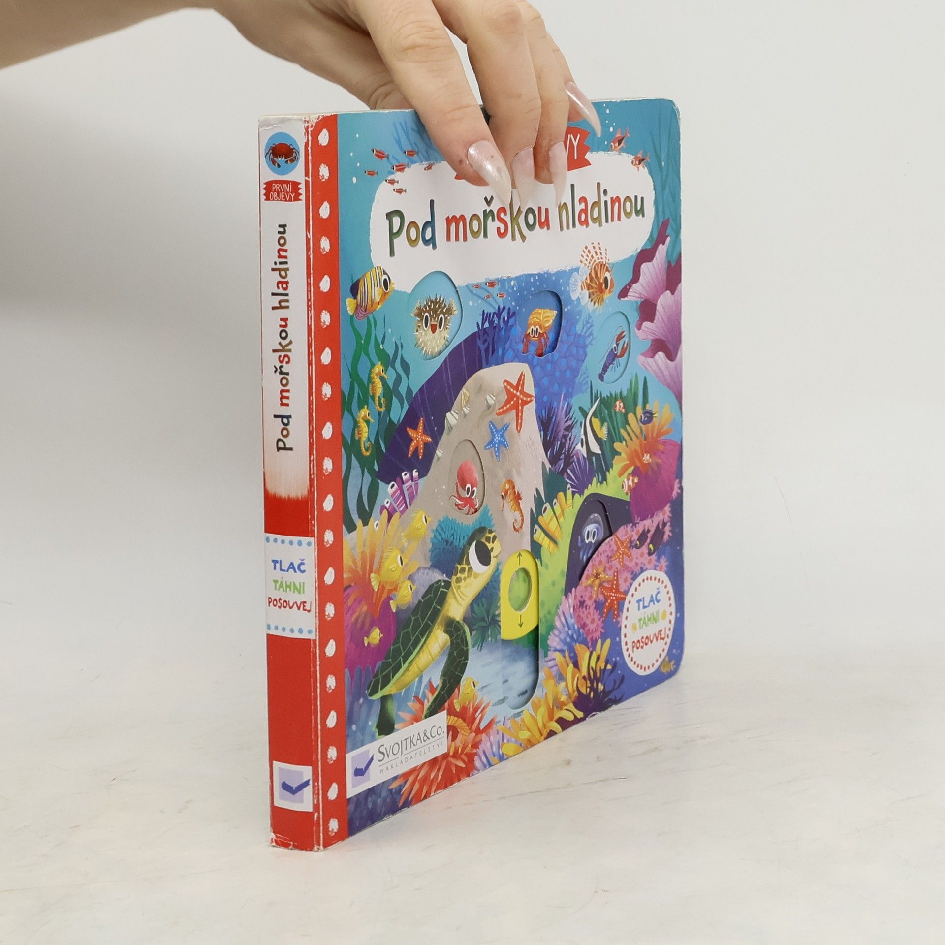 Pod mořskou hladinou