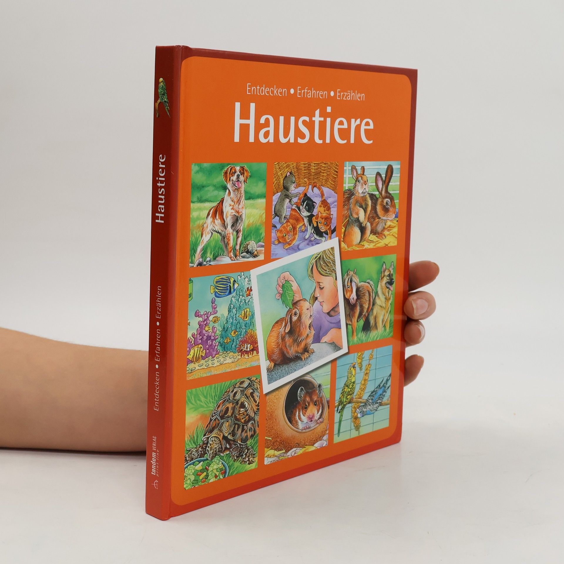 Autorenkollektiv Haustiere. Entdecken Erfahren Erzählen