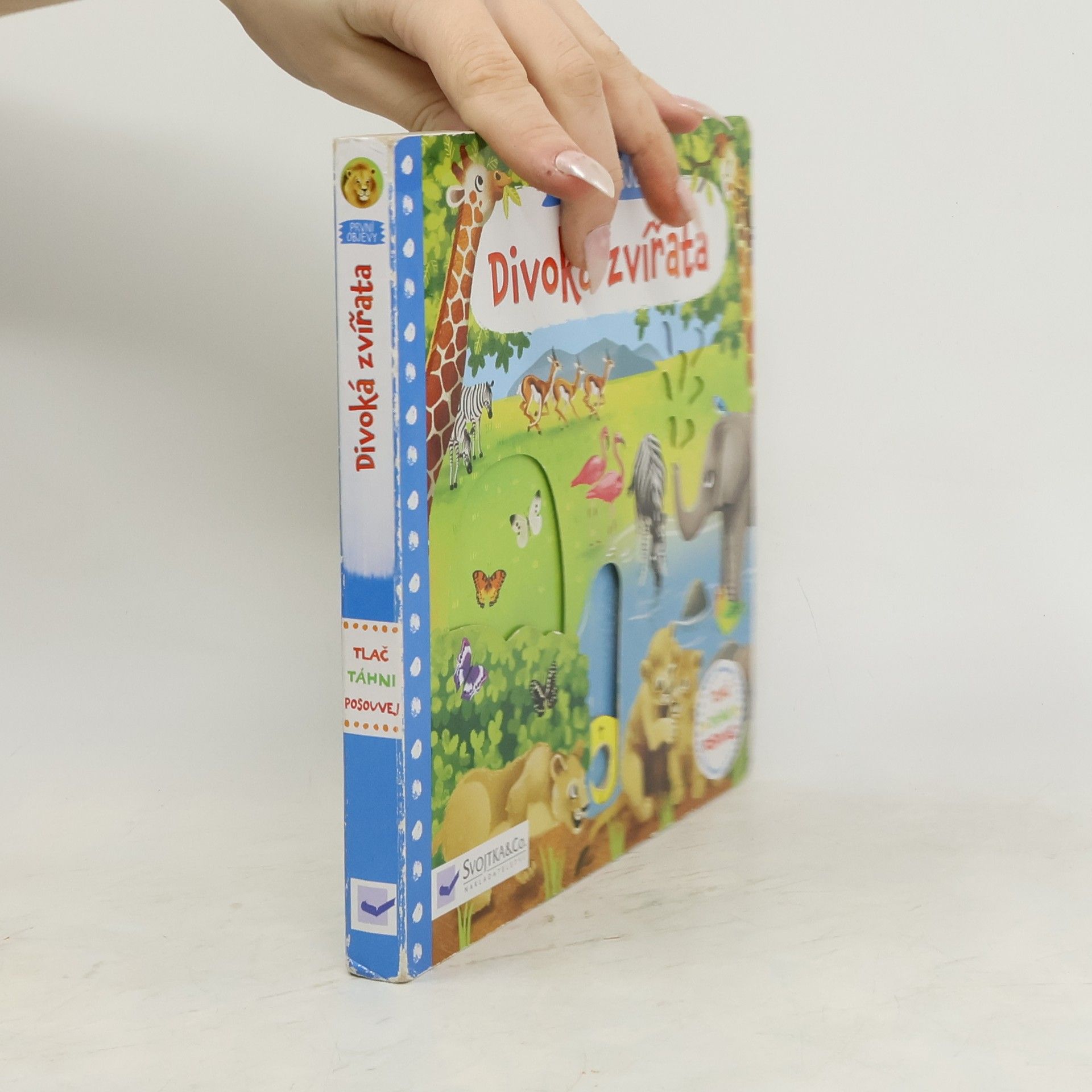 Jenny Wren Divoká zvířata