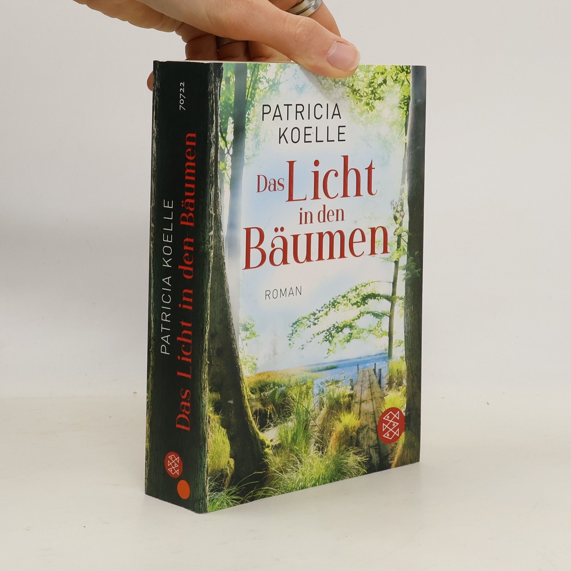 Patricia Koelle Das Licht in den Bäumen