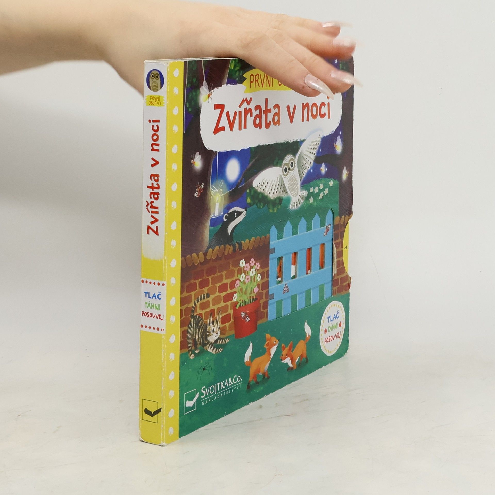 Jenny Wren První objevy: Zvířata v noci