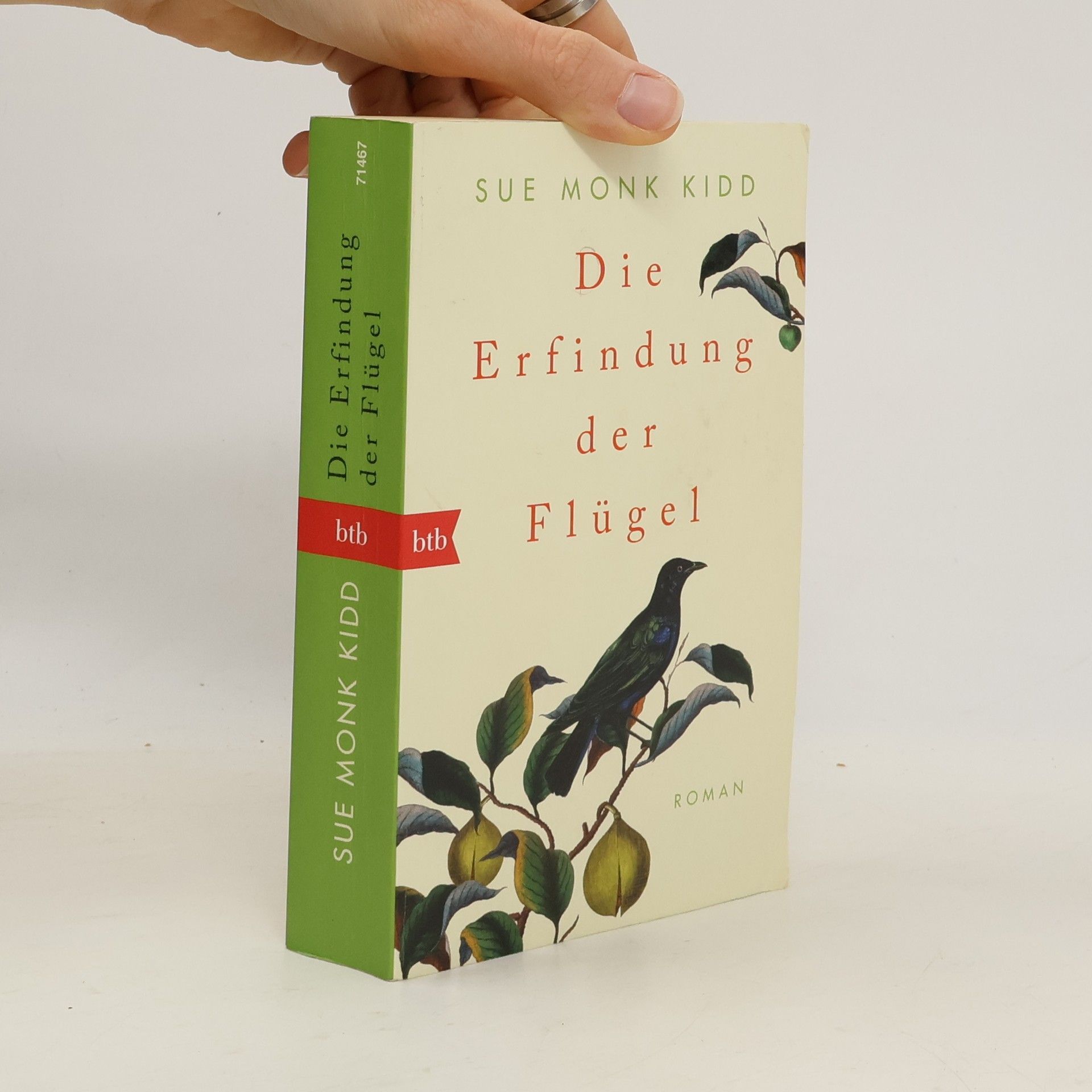 Sue Monk Kidd Die Erfindung der Flügel