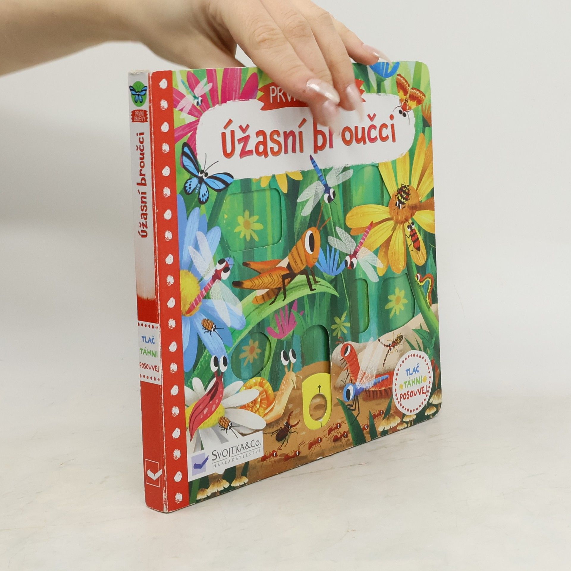 Jenny Wren První objevy: Úžasní broučci