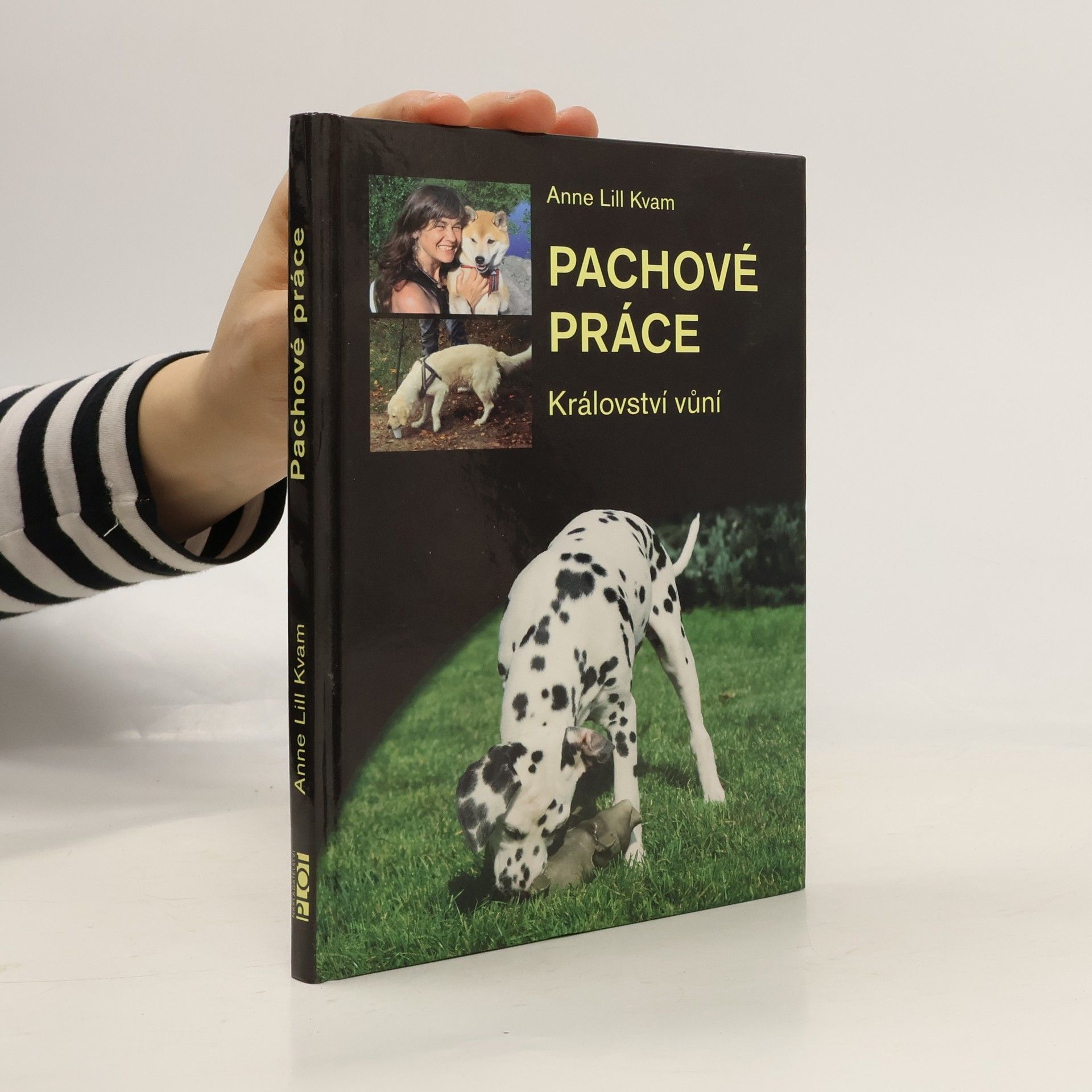 Anne Lill Kvam Pachové práce. Království vůní