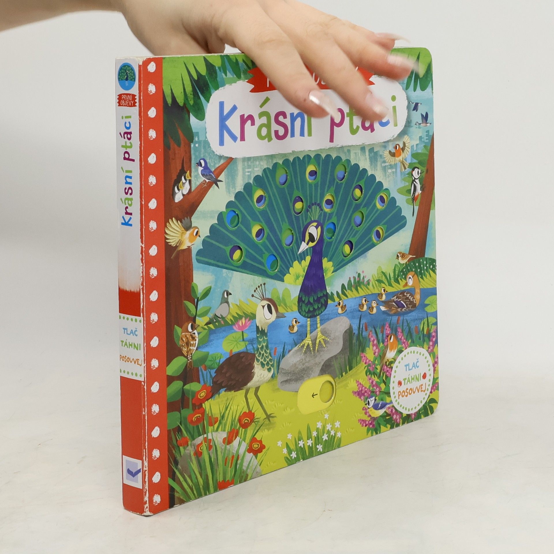 První objevy: Krásní ptáci