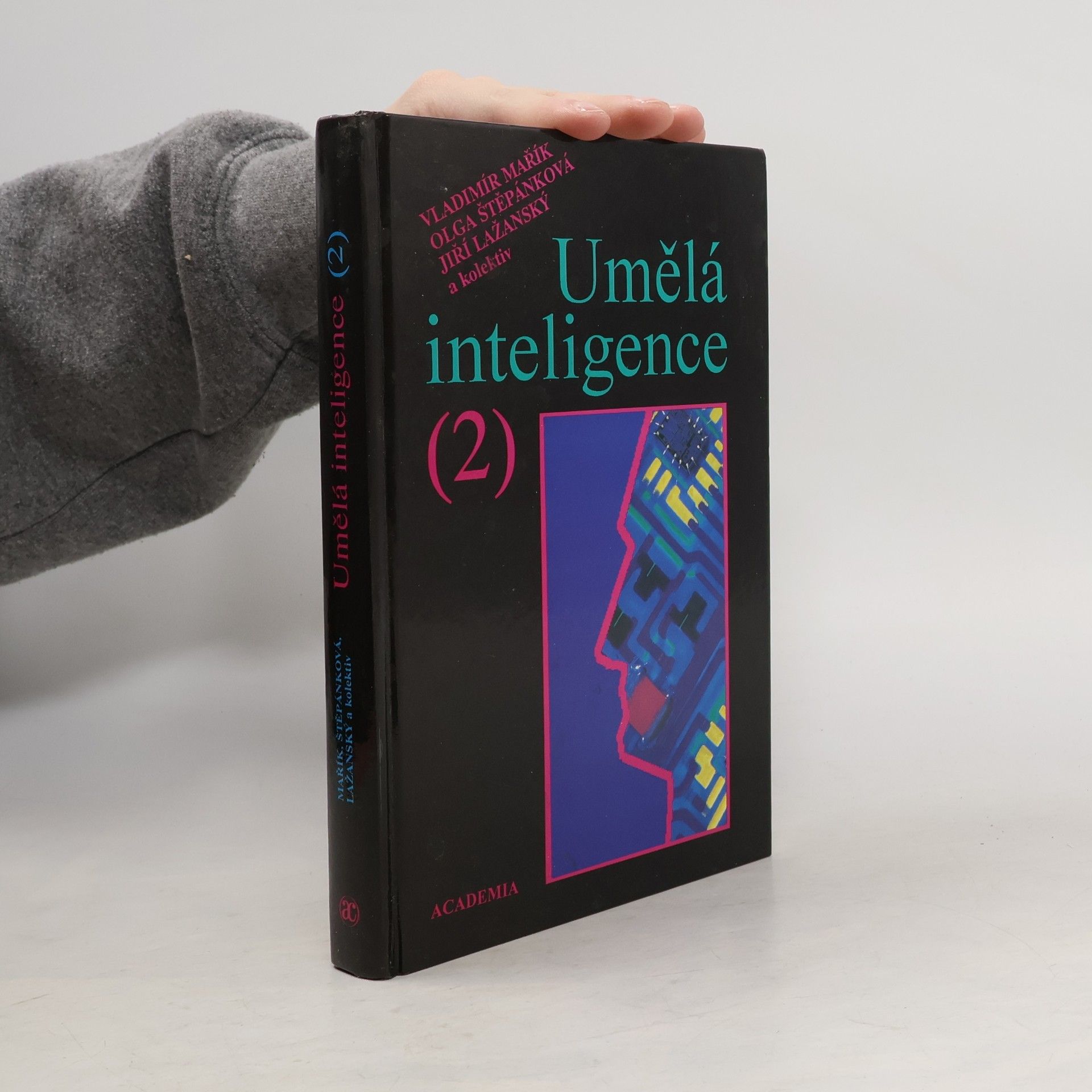 Umělá inteligence. 2. díl.