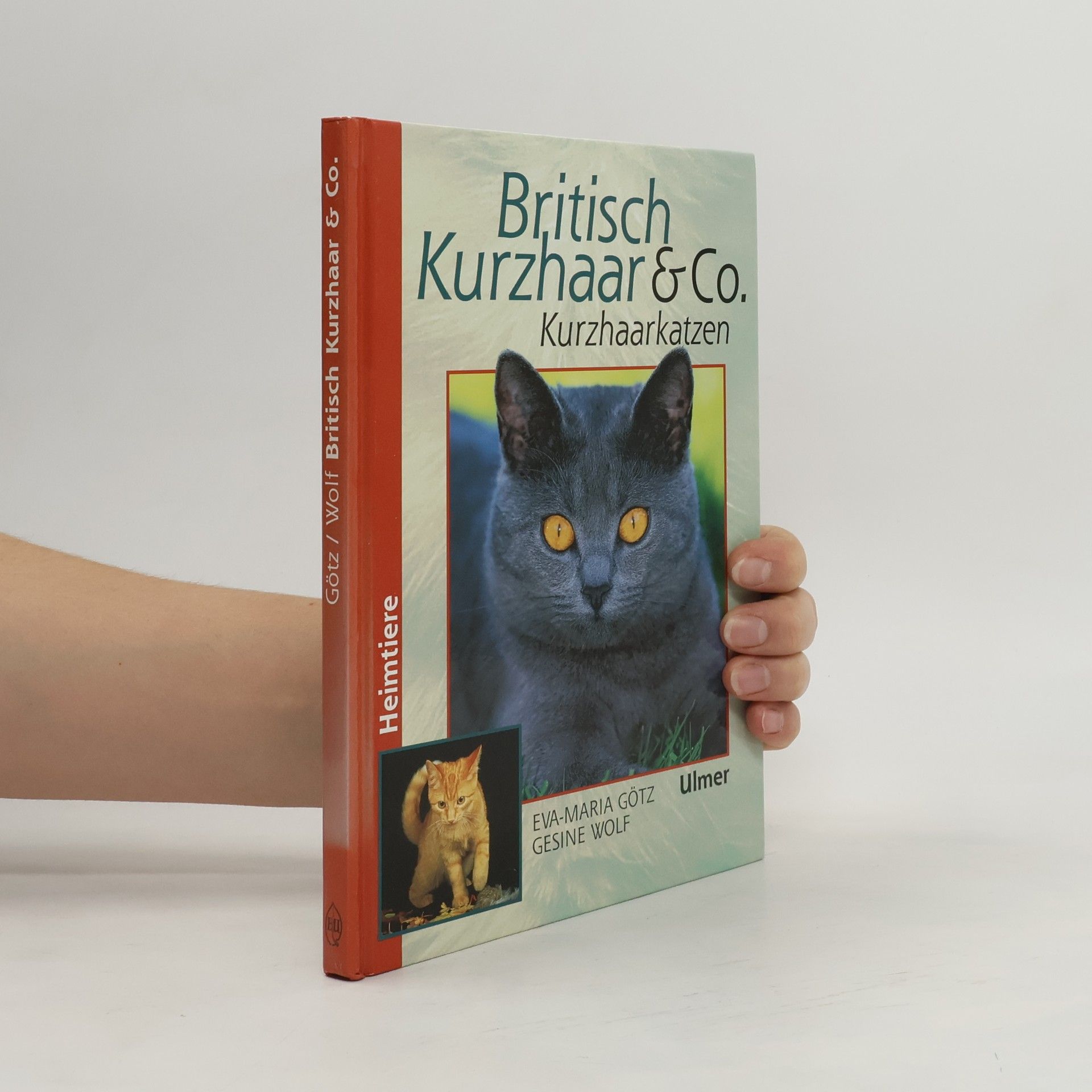 Britisch Kurzhaar & Co.