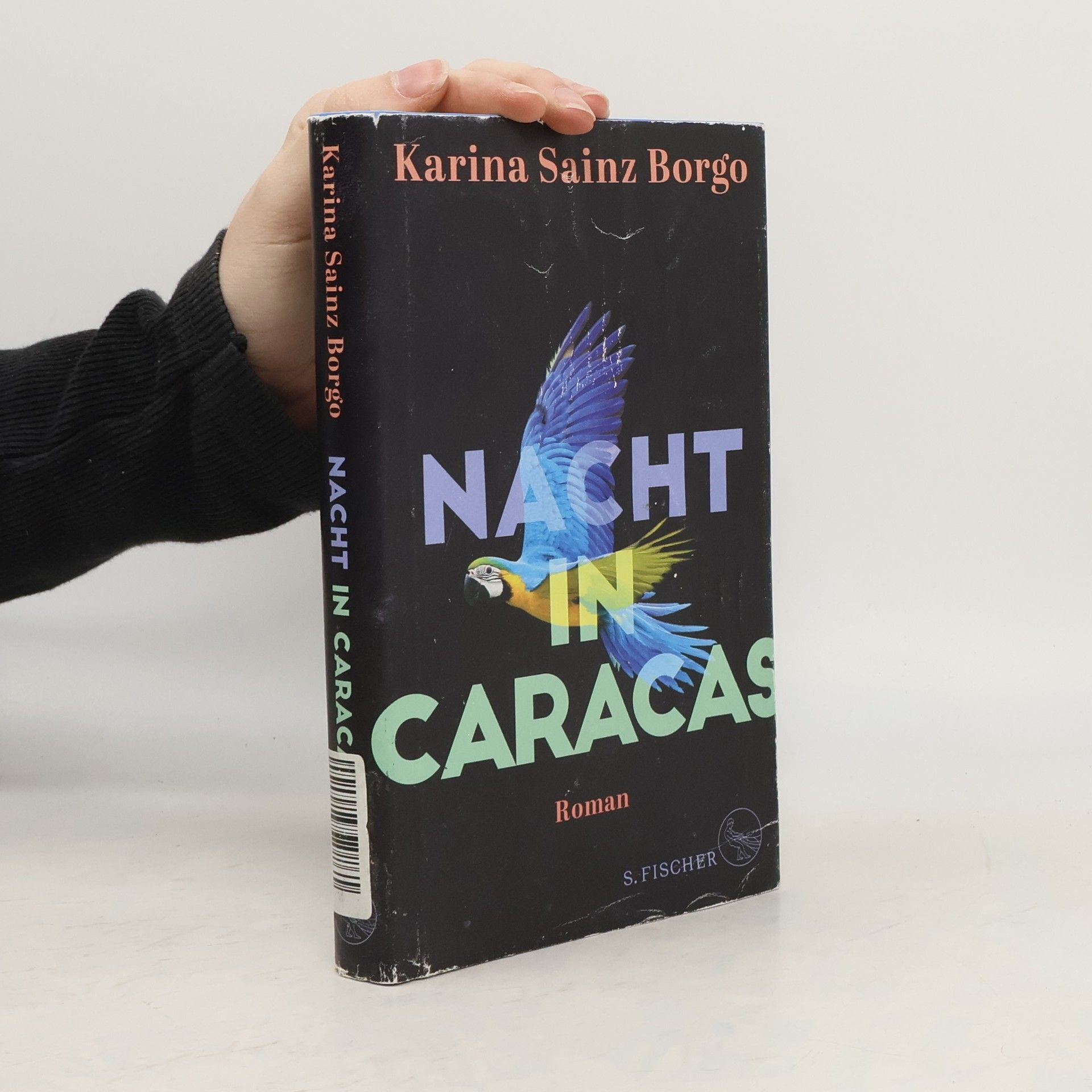 Karina Sainz Borgo Nacht in Caracas