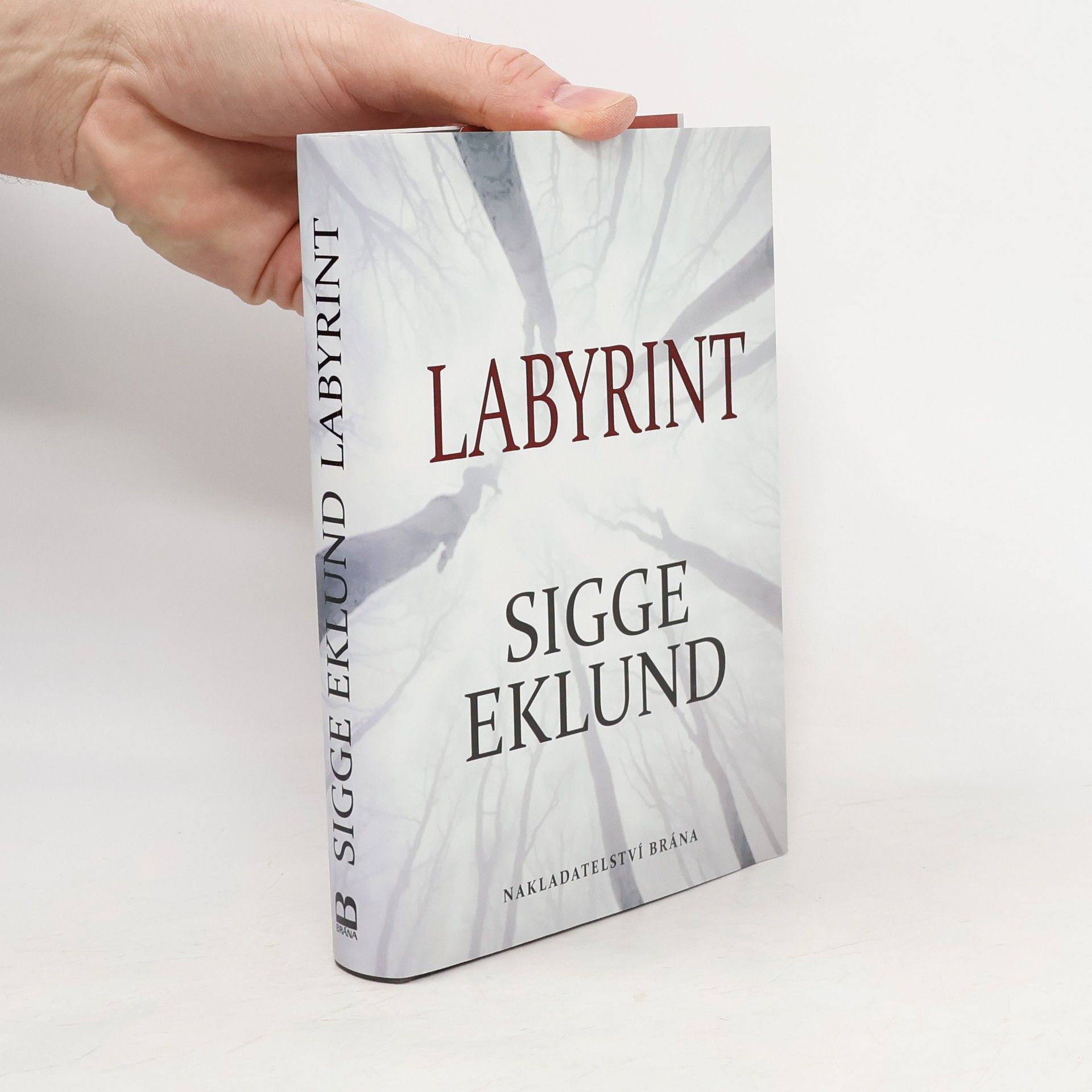 Sigge Eklund Labyrint