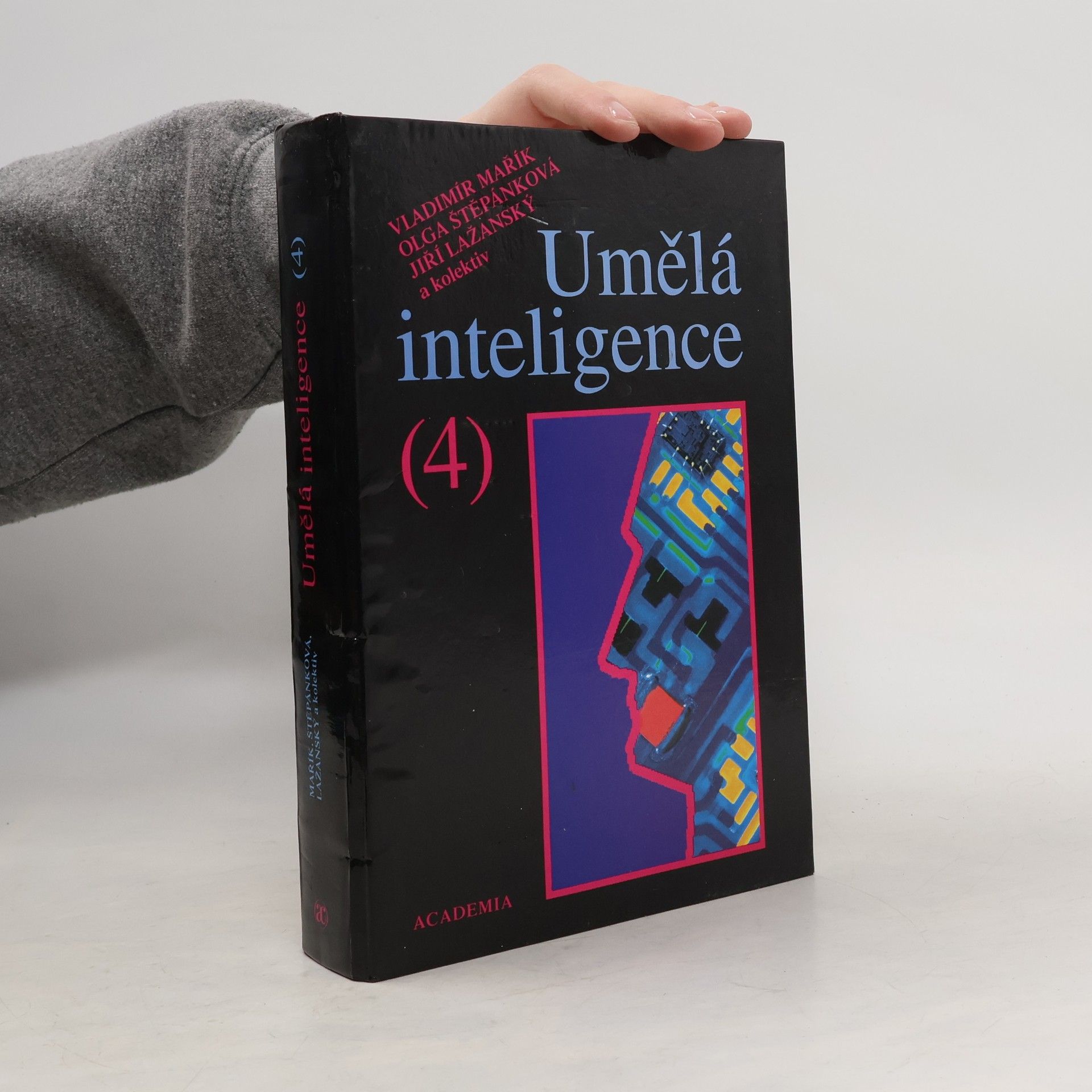 Vladimír Mařík Umělá inteligence (4)