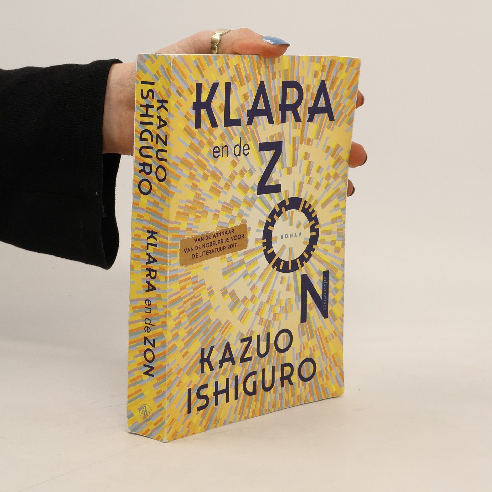 Peter Bergsma Klara en de zon