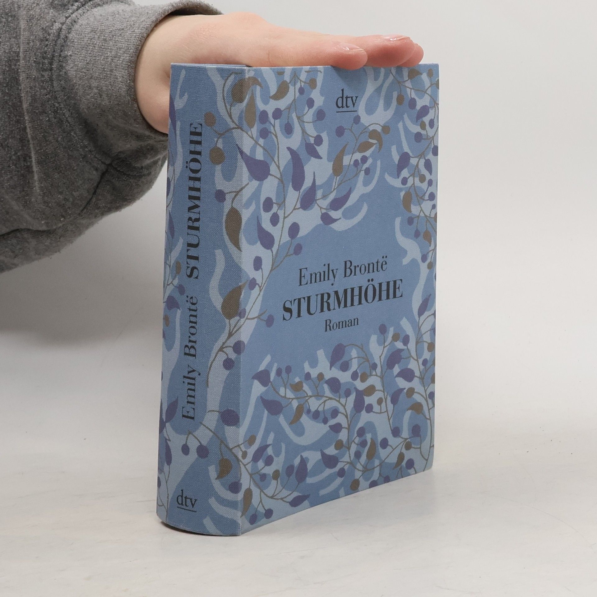 Emily Brontë Sturmhöhe